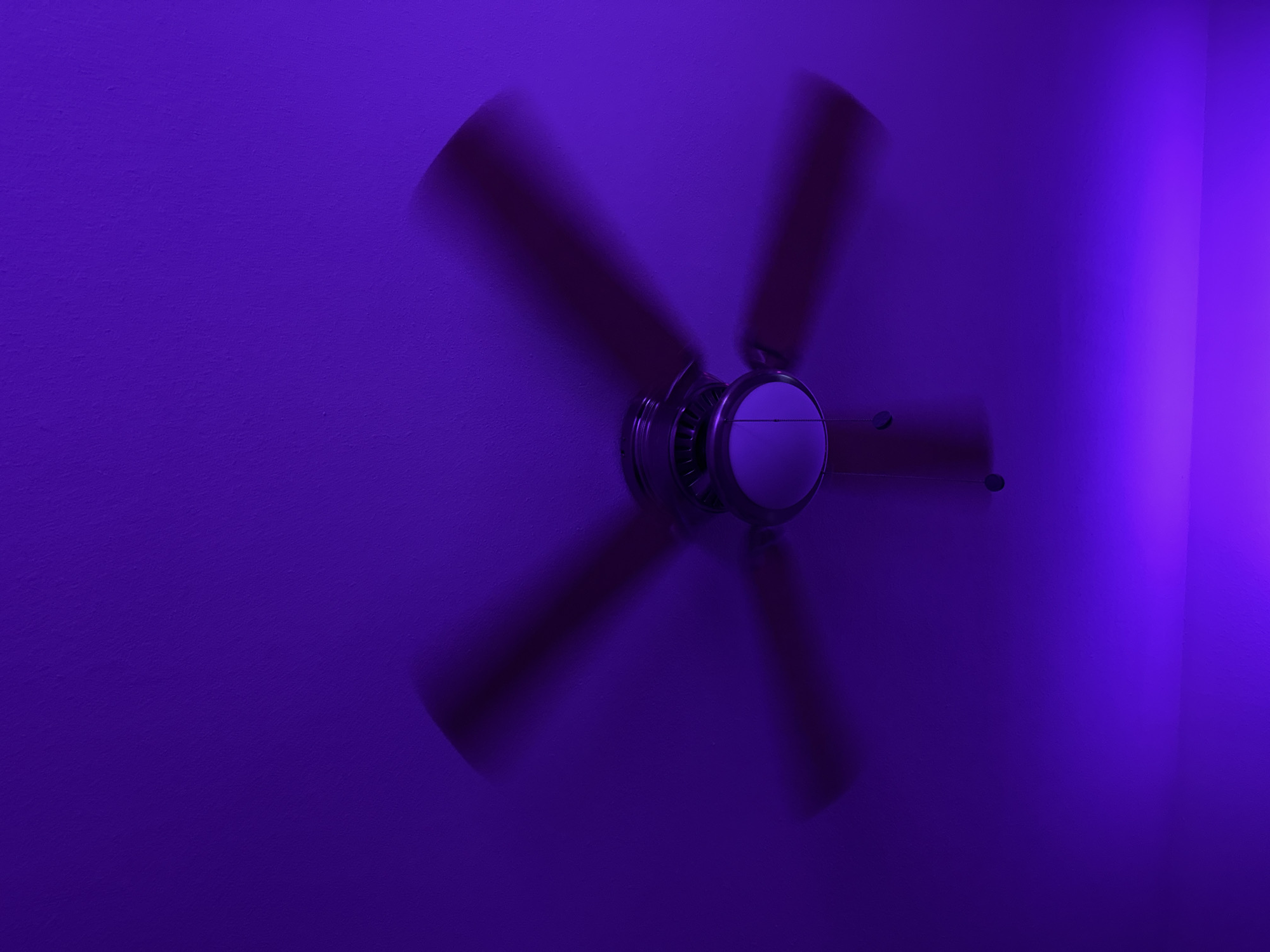 An overhead, low-angle shot shows a ceiling fan in motion, illuminated by a vibrant purple light. The fan has a silver motor housing and five dark-colored blades that are blurred due to the long exposure. Two pull chains hang from the fan's motor. The ceiling is painted a solid, textured purple, with the light casting a brighter, more saturated purple glow on the lower portion of the image, suggesting the light source is positioned below the fan and angled upwards. The scene is static and devoid of people.
