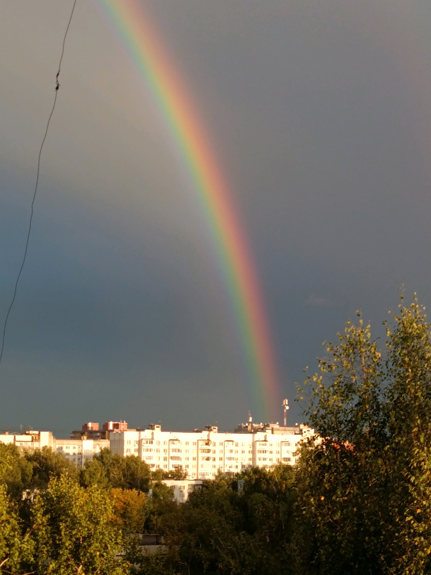 A rainbow arcs across a dark, cloudy sky above a city. Below the rainbow, a row of white, multi-story apartment buildings is visible, interspersed with lush green trees. The sunlight catches the leaves of the trees, highlighting them with a golden glow. In the foreground, the tops of more trees are visible. A thin, dark wire extends from the upper left corner of the frame, with two small, dark objects hanging from it. The overall scene suggests a recent or ongoing rain shower, with the rainbow appearing as the sun breaks through the clouds.