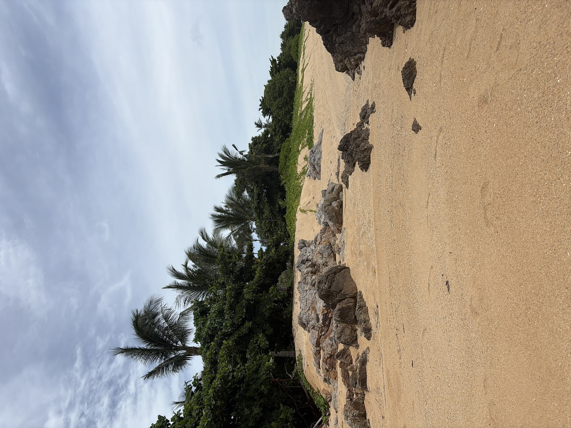 The image shows a sandy beach with scattered rocks and vegetation. In the background, palm trees and dense green foliage line the edge of the beach. The sky is overcast with gray clouds. The sand is light brown and appears to be mixed with small shell fragments. Several dark, rough-textured rocks are scattered across the beach, with a larger formation of rocks on the left side of the frame and another on the right. The scene depicts a natural, undeveloped coastal environment.