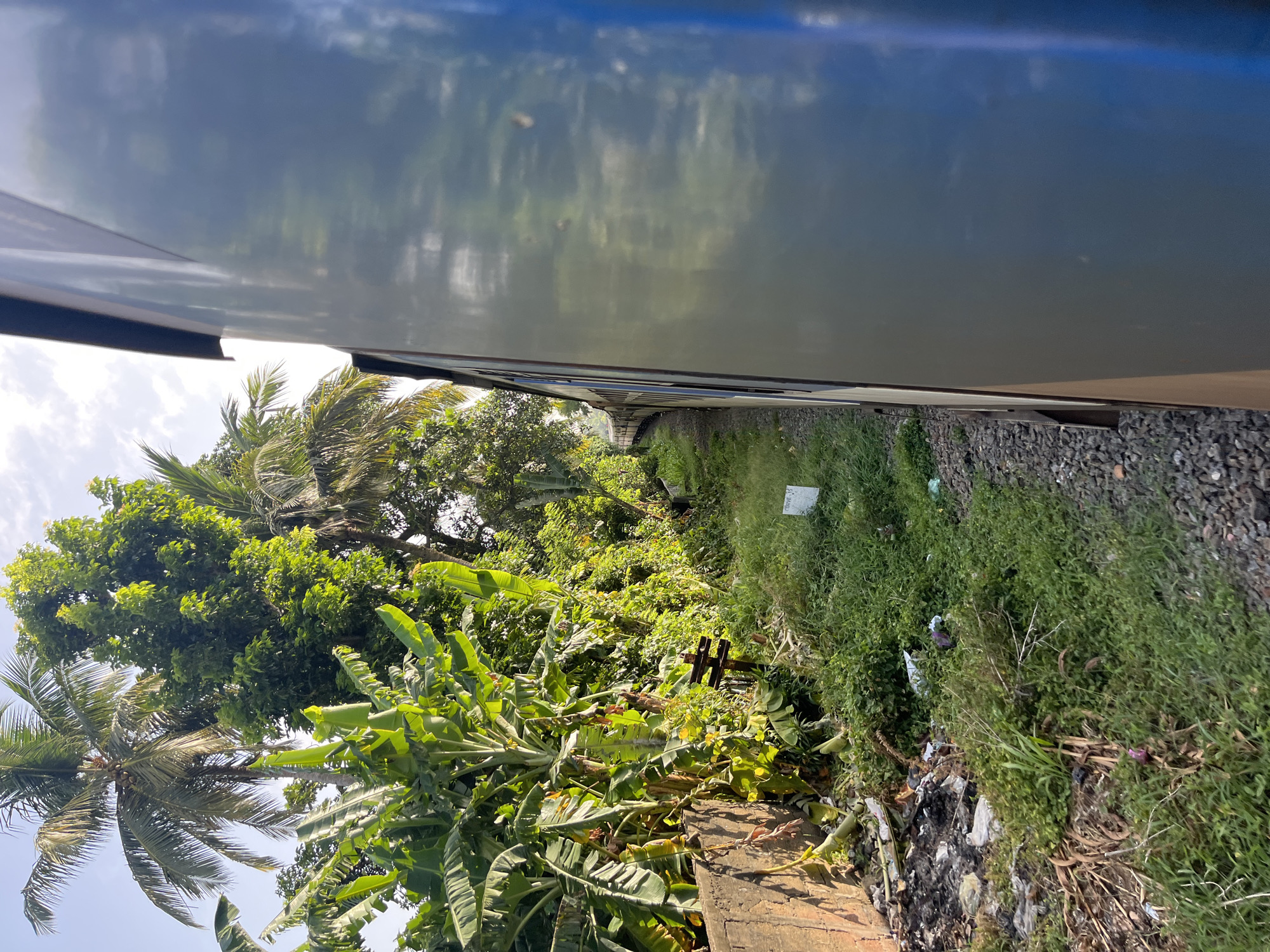 The image captures a view from a moving train alongside lush vegetation and a section of track. On the left, a concrete wall is visible, bordered by a pile of debris and overgrown green plants, including banana trees and palm trees. The train's metallic blue side occupies the right portion of the frame, reflecting the sky and surrounding trees. The train is on a track laid with dark gray ballast. A white marker with text is partially visible in the lower right quadrant. The environment suggests a rural or semi-rural setting in Maggona, Sri Lanka, with dense foliage typical of the region. No people are present in the image.