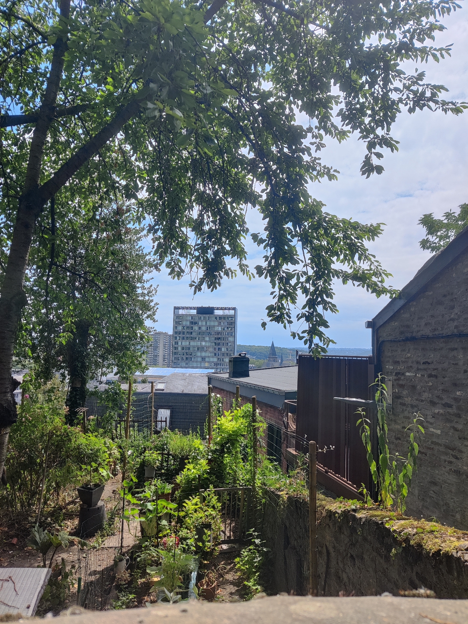 The image shows a view from a garden looking out towards a city skyline. In the foreground, there is lush greenery, including trees with dense foliage that partially obscure the view. There are also various plants in pots and growing in the garden beds, with some fencing visible.
Beyond the garden, several buildings can be seen. Dominating the middle ground is a tall, modern building with a grid-like facade of windows. To the left and right of this building are other urban structures, including what appears to be a church spire in the distance to the left. The sky is partly cloudy.
This perspective is likely from an elevated position in the city, possibly a garden on a hillside. Given the architectural style and the specific church spire visible, this view strongly resembles the area overlooking the city center of Liège, Belgium, from the Montagne de Bueren or a similar vantage point in the historic citadel district. The contrast between the overgrown garden and the urban landscape is a notable feature of this scene.