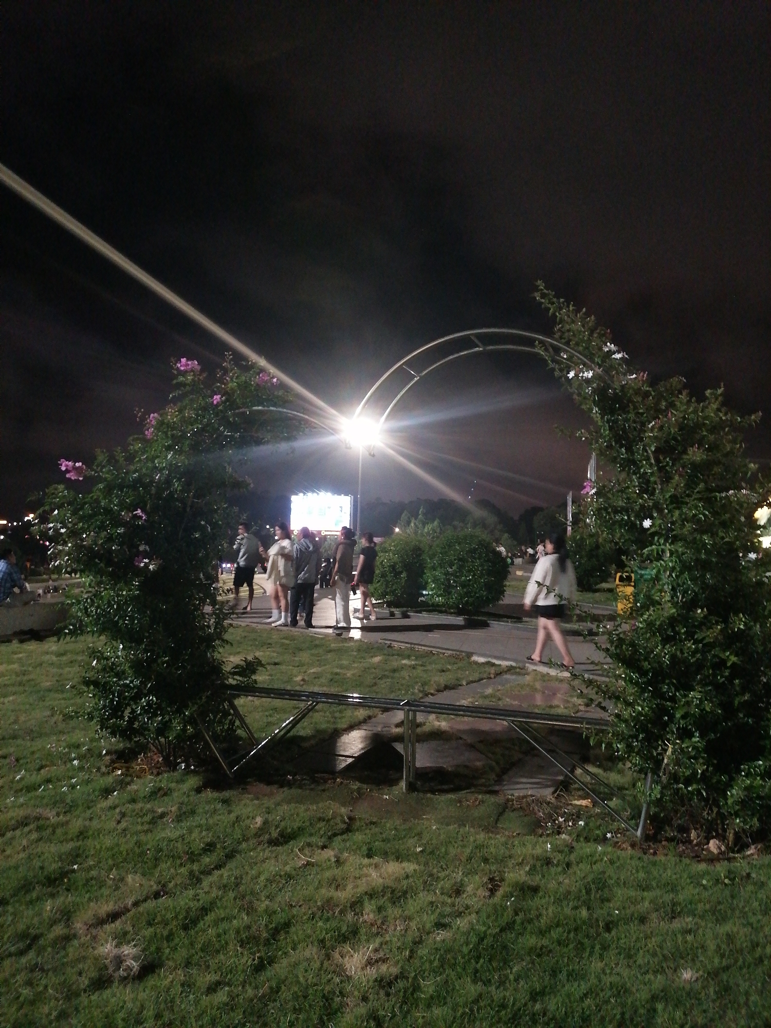 The image shows a nighttime scene in Da Lat, Vietnam. A group of people are gathered near an illuminated structure, possibly a large screen or billboard. The scene is framed by an arched trellis covered in flowering plants, under a bright street light. A woman walks in the direction of the viewer. The environment consists of grassy areas and paved walkways. A low metal barrier is visible in the foreground. The sky is dark and overcast.
