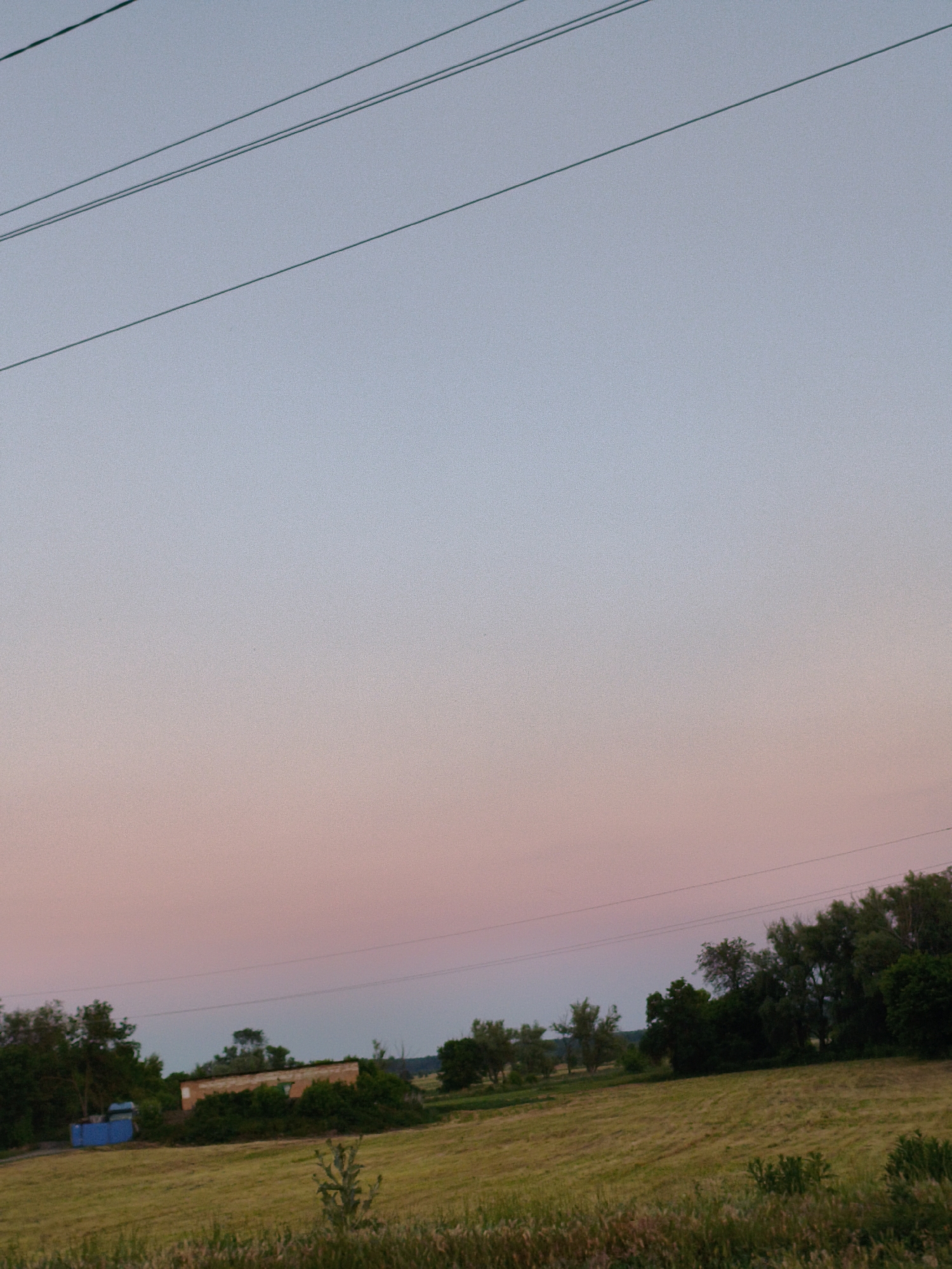 This is a photograph taken in the rural outskirts of Ustyvytsia, Ukraine. The image depicts a wide, open field under a twilight sky. The sky transitions from a pale blue at the top to soft pink and peach hues near the horizon. Several power lines are visible stretching horizontally across the sky.
In the middle ground, a low, elongated brick structure with a green door or window is partially obscured by dense green foliage. To the left of this structure, a bright blue, rectangular object, possibly a tank or storage unit, is situated in the field.
The field itself appears to be covered in mown grass or hay, with some taller grasses and plants in the foreground. A line of trees forms a natural backdrop along the horizon, with more scattered trees and bushes throughout the landscape. The overall impression is one of a tranquil, rural setting during the evening hours. There are no people or animals visible in the image.