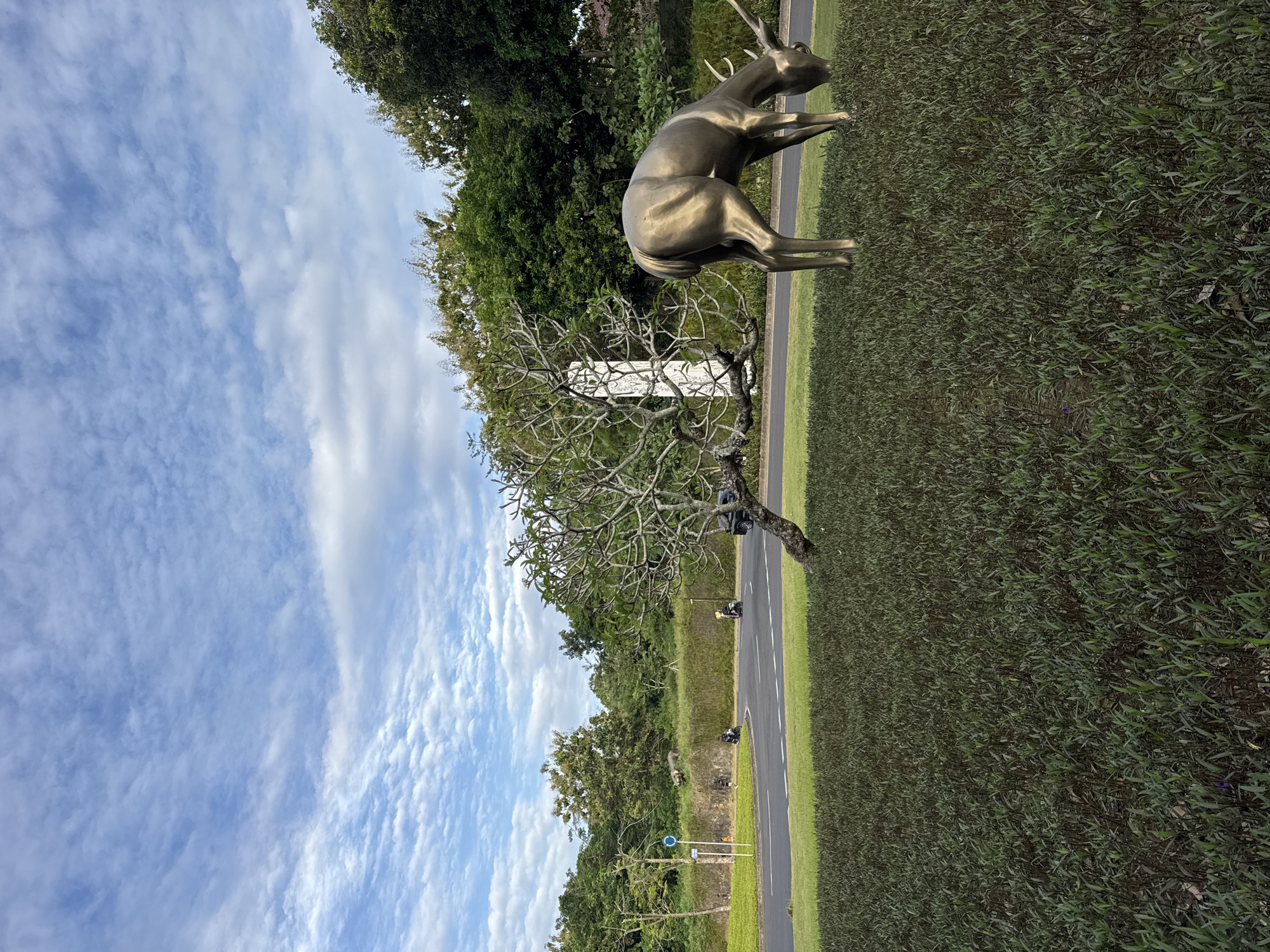 The image shows a bronze-colored deer statue in Kuta Selatan, Indonesia. The statue stands on a grassy area adjacent to a road with occasional traffic. Behind the statue and road, lush green trees are visible. A bare tree stands near the statue. The sky is blue with scattered white clouds. The scene is well-lit.