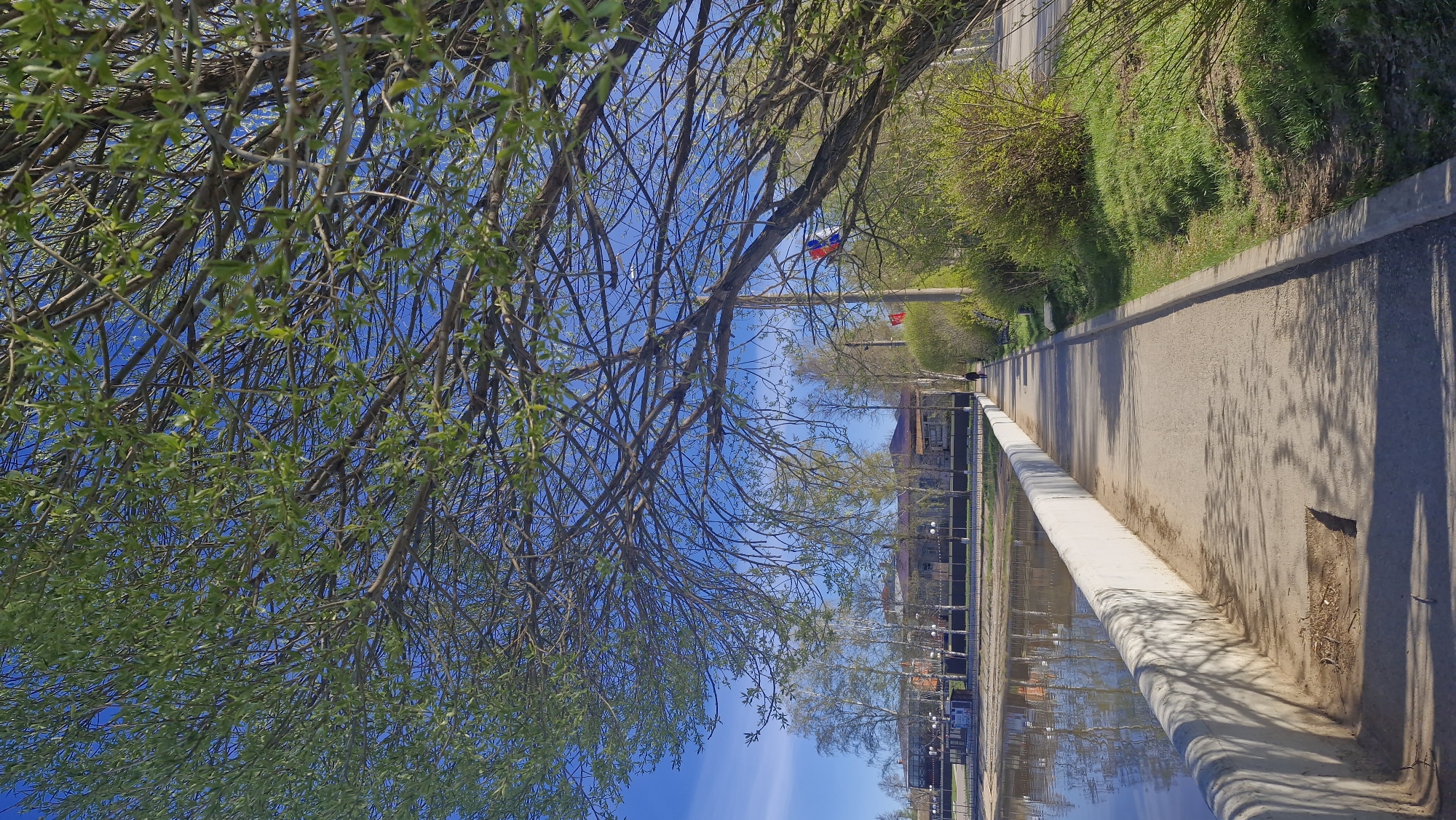 The image depicts a tranquil scene in Otchor, Russia. A paved walkway, bounded by a concrete barrier on one side and greenery on the other, stretches into the distance. Reflections of buildings and the sky are visible in the water adjacent to the walkway. In the distance, Russian flags adorn poles. A tree with budding leaves frames the left side of the image, with a clear blue sky visible through its branches.