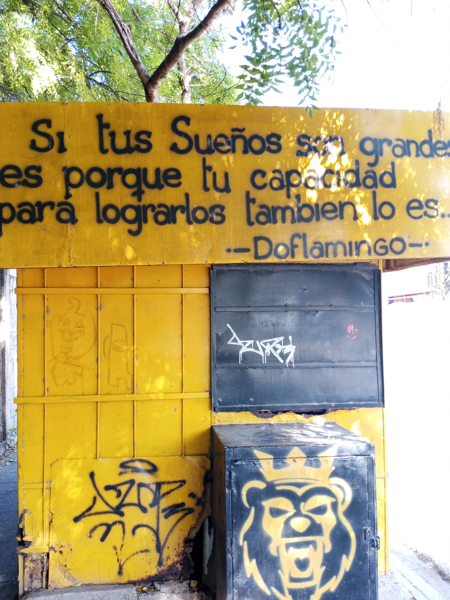 The image shows a yellow, graffiti-covered wall with a motivational message in Spanish. The text at the top reads, "Si tus Sueños son grandes es porque tu capacidad para lograrlos tambien lo es...--Doflamingo--". Below the text, there is a dark, possibly metal, shutter or door with more graffiti, and another smaller, black box-like structure with a lion's head and crown spray-painted on it. The wall appears to be part of a small building or kiosk. Based on the prompt's details, this is located in Palo Negro, Venezuela. The overall condition of the wall suggests it is weathered and aged. The background shows trees and foliage, indicating an outdoor location. The photograph is taken during the daytime.