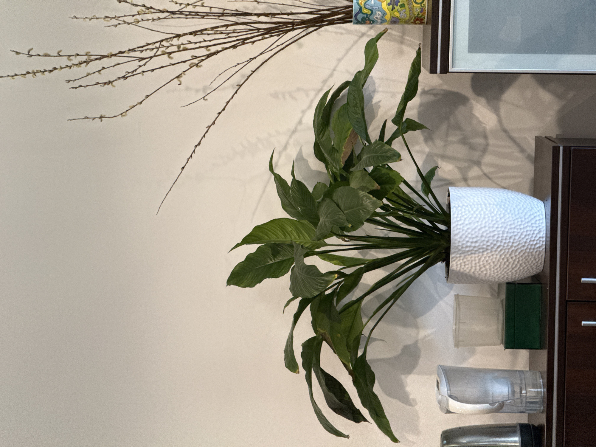 The image depicts an indoor still life with a focus on decorative elements and household items. In the upper left, a cluster of thin, brown branches with small, fuzzy buds is arranged against a neutral-colored wall. These branches appear to be a decorative arrangement, possibly symbolic of spring or a natural aesthetic. To the right of the branches, a potted plant with large, glossy green leaves is prominently featured. The plant is housed in a white, textured pot with a dimpled surface, adding a tactile element to the visual.
Below the plant, several clear plastic containers are stacked vertically. These containers appear to be reusable cups or storage units. Between the plastic containers and behind them is a small, dark green rectangular object, possibly a box or a decorative item. To the far right, a dark brown cabinet with silver drawer pulls is partially visible, suggesting a domestic or office setting.
Above the plant and to the right, a framed picture or artwork is hung on the wall. The frame is dark with silver or white trim, and the artwork within appears to be a muted color. Shadows are cast on the wall behind the plant, indicating a light source, likely from a window or overhead lighting, and suggesting it is daytime. The overall scene is static, with no discernible activity or people. The setting appears to be a room in a home or an office in Łódź, Poland. No visible text is present in the image.