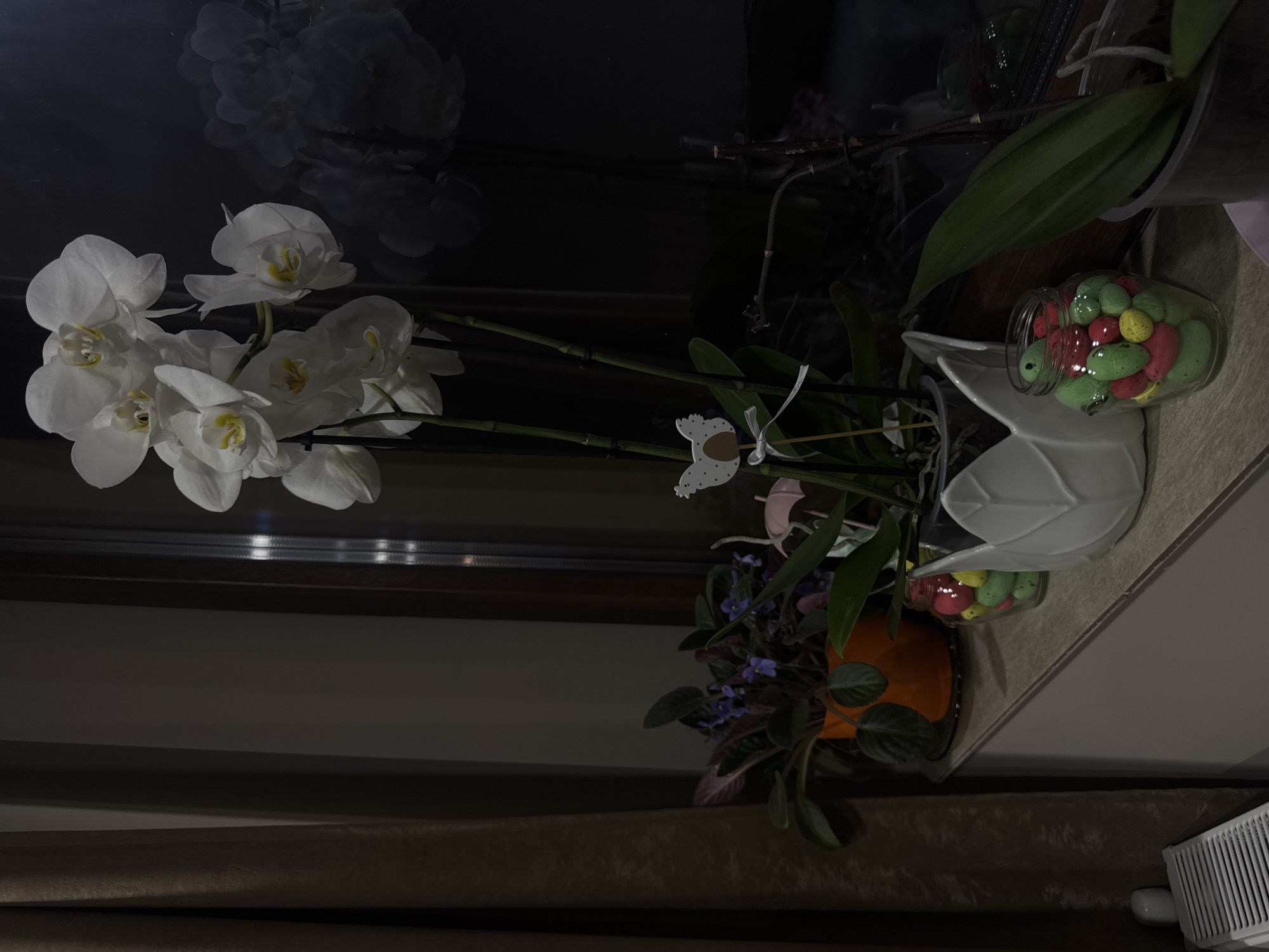 A still life is presented indoors. In the upper left, a cluster of white orchids stands out against a dark background. To the right, a shelf holds an arrangement of potted plants and decorative items. An African violet in an orange pot, a taller plant in a white leaf-shaped pot, and a jar filled with red, green, and yellow candies are visible. Below the shelf, the edge of a curtain is seen, as well as the top of an air purifier. The scene appears to be dimly lit, with shadows emphasizing the textures of the plants and the reflection of the orchids visible in the background. There is no evidence to support the location being Lehchevo, Bulgaria.