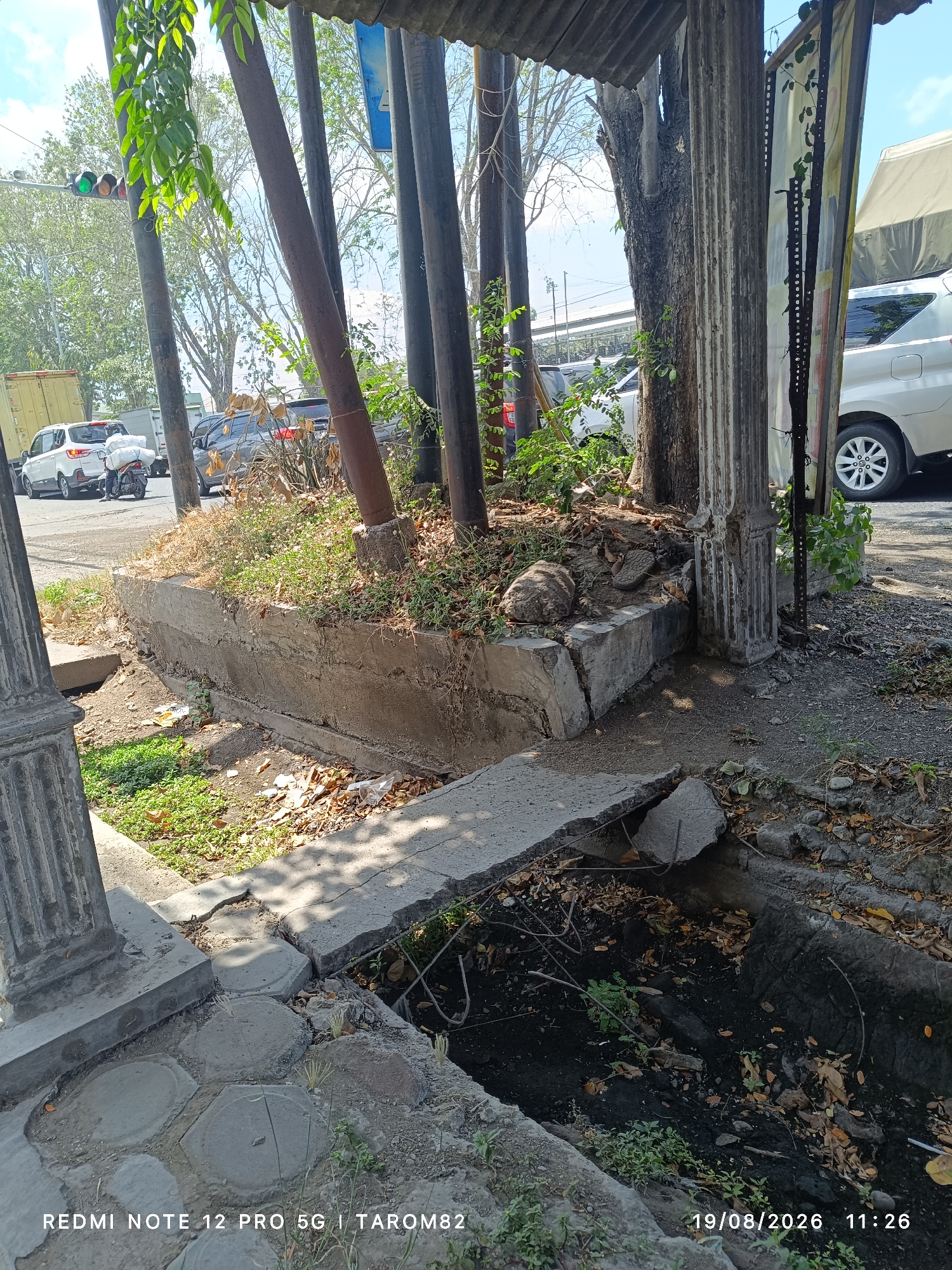 In Tebel, Indonesia, a slightly elevated, weathered concrete planter box sits beside a road. The planter is filled with dry, brown vegetation and some green shoots. To the left, a cracked concrete sidewalk leads to a drain opening filled with dark, murky water, debris, and sparse vegetation. Behind the planter, several dark, vertical poles are visible, some supporting a corrugated metal roof. In the background, traffic can be seen, including white cars and a motorcycle with a rider. A traffic light with a green signal is also visible. The scene appears to be an outdoor, urban environment during daylight hours.