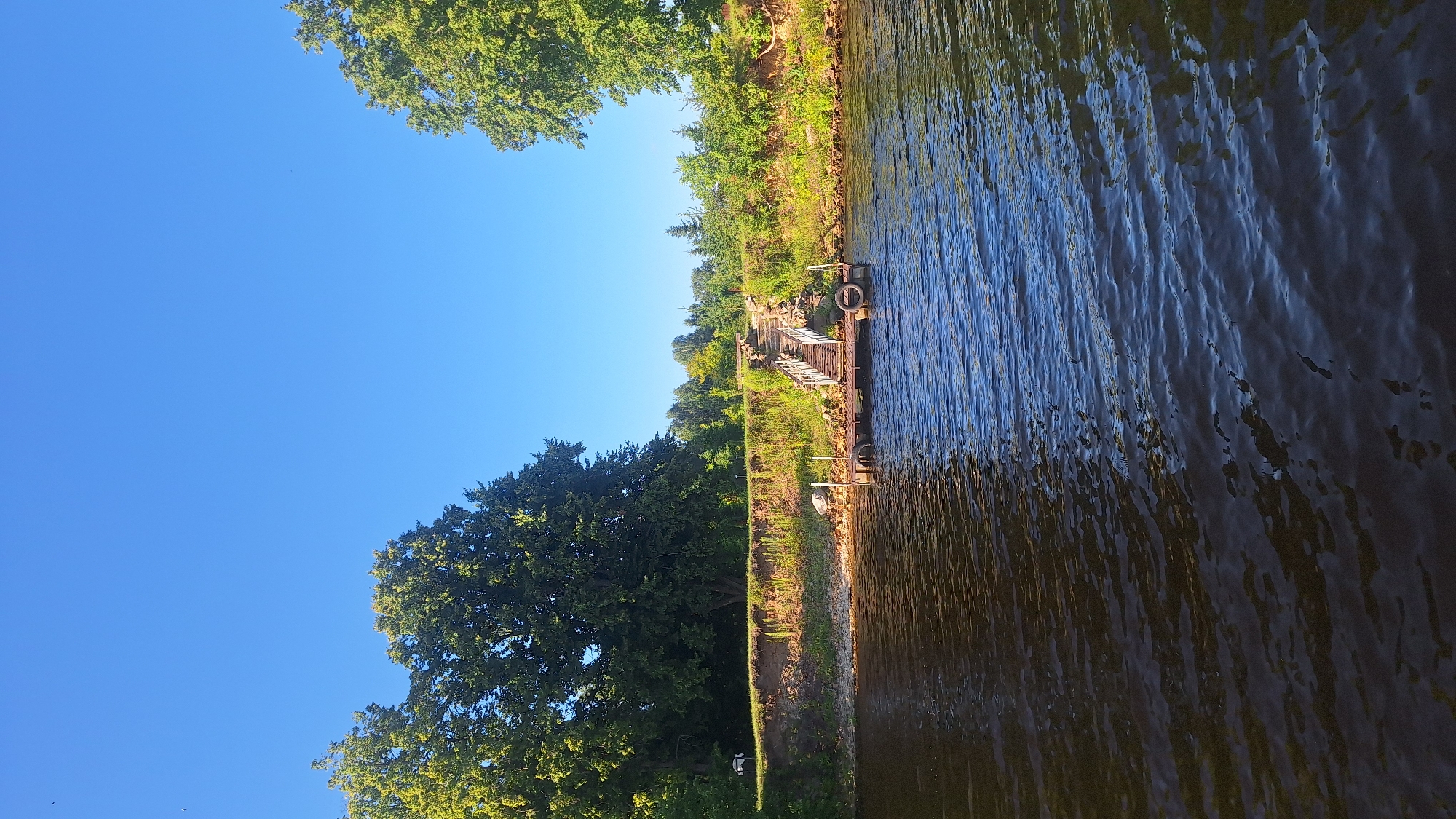 This image captures a serene waterside scene, likely taken from a boat on the Daugava River in Koknese, Latvia. In the foreground, the dark, rippling surface of the river reflects the clear blue sky and the surrounding greenery.
A small wooden dock extends from the sandy bank into the water. Attached to the dock are two weathered tires, serving as fenders. A set of wooden stairs with metal railings ascends from the dock up the embankment, leading to a higher vantage point.
The embankment itself is covered in a mix of sand, dry grass, and various green bushes and trees. Large, mature trees with dense green foliage dominate the left and right sides of the frame, framing the view of the embankment and the sky. In the distance, a line of trees and vegetation stretches across the horizon under the bright, cloudless sky. No people are visible in the image. The overall impression is one of natural beauty and tranquility.