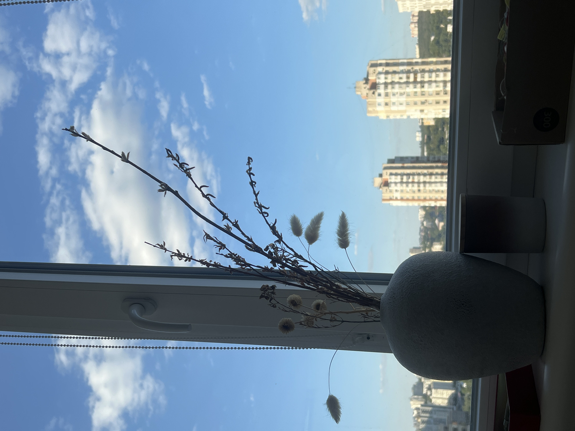 This image depicts a close-up view of a window sill with a vase of dried flowers and a cylindrical object, set against a backdrop of a clear blue sky with scattered white clouds. In the distance, the skyline of a city is visible, featuring several tall apartment buildings. The scene is illuminated by natural daylight, casting soft shadows. No people are present in the image, and no actions or interactions are occurring. The environment appears to be an indoor setting looking out onto an urban landscape. The specific location in Chișinău, Moldova, cannot be determined from the visual information alone.