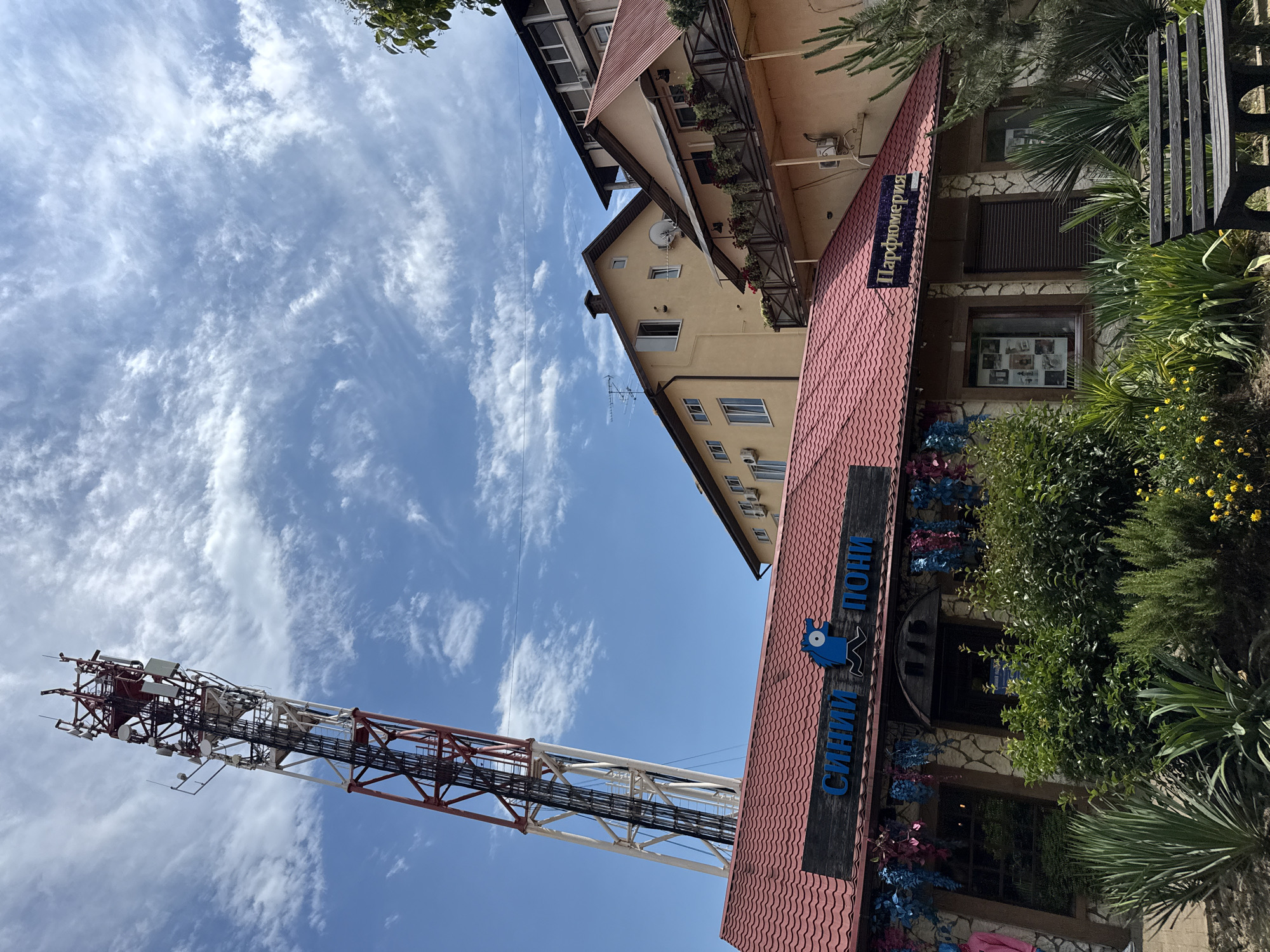 The image shows a bright, sunny day in Sochi, Russia. In the foreground, a low-rise building with a red tiled roof has a sign that reads "Синий Пони" (Blue Pony) and a smaller sign that reads "Парфюмерия" (Perfumery). The building is decorated with blue and pink artificial flowers and has a stone facade. Lush green bushes and trees surround the building, with a wooden bench visible in the lower right corner. In the background, several multi-story buildings with balconies are visible, and a tall telecommunications tower dominates the left side of the frame, reaching towards a blue sky with scattered white clouds. There are no people visible in the image.