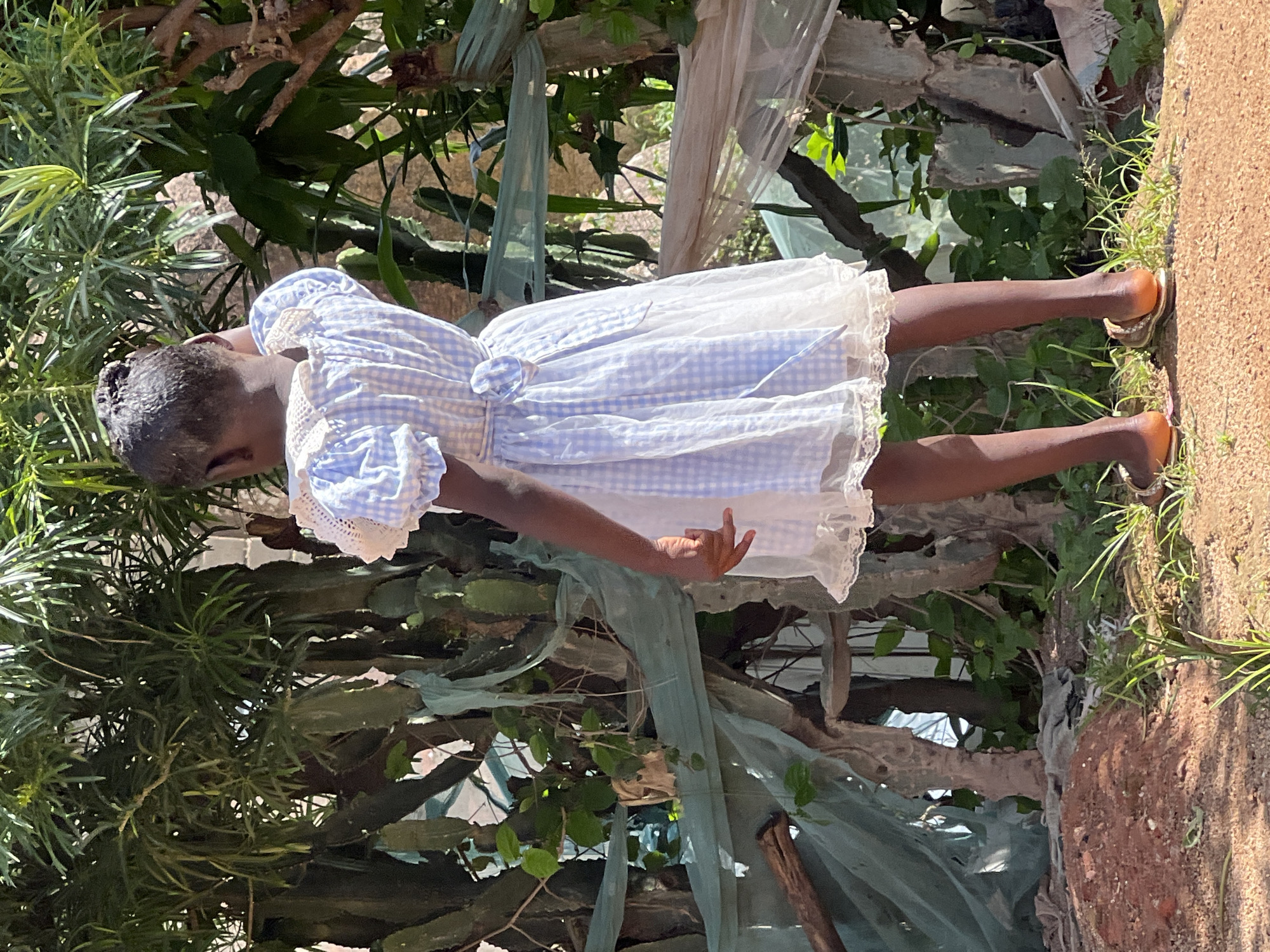A young Black girl, viewed from the back, stands outdoors in what appears to be a yard in Jos, Nigeria. She is wearing a light blue and white checkered dress with white lace trim at the collar and hem. The dress has puffy short sleeves and a white bow tied at the waist. Her dark hair is pulled up. She is wearing simple orange and gold sandals. She is standing in an area with rough, reddish-brown dirt and some green grass. Behind her, there is a fence constructed from branches and draped with light green and beige netting. Lush green foliage, including large cactus-like plants and leafy trees, grows behind the fence and appears to be a dominant feature of the environment. The lighting suggests it is daytime, possibly morning or afternoon, with bright sunlight casting shadows. The overall impression is of a simple, outdoor setting, possibly in a residential area.