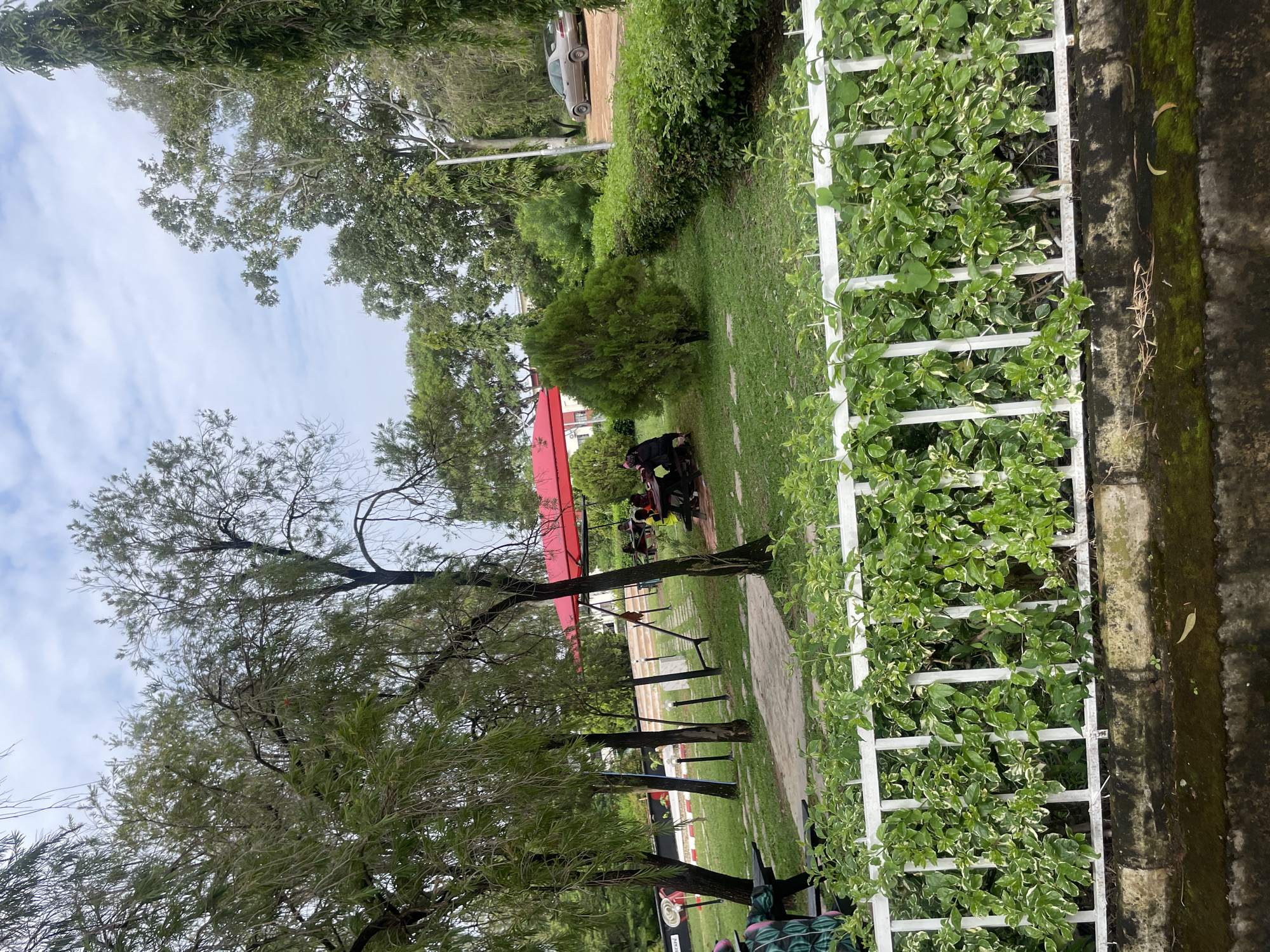 This image depicts an outdoor seating area within a park or garden, likely in Jos, Nigeria, as suggested by the context. The scene features several elements:
**Environment:**
* **Vegetation:** Lush green grass covers the ground, interspersed with various trees and bushes. A dense hedge runs along the right side of the frame, and climbing plants with variegated green and white leaves cover a white metal fence in the foreground.
* **Structures:** A red canopy tent provides shade for an outdoor dining area. Several picnic tables and benches are visible throughout the park. A white metal fence with vertical bars runs horizontally across the lower portion of the image, separating the seated area from a moss-covered concrete structure below.
* **Atmosphere:** The sky is overcast with scattered clouds, suggesting a temperate day.
**People and Activities:**
* Several individuals are seated at picnic tables, engaged in conversation or dining. Some appear to be families or groups of friends.
* One person, wearing a patterned hat and clothing, is seated at a picnic table in the foreground, facing away from the camera.
* Another individual, dressed in dark clothing, is seated at a table under the red canopy.
**Objects:**
* Picnic tables and benches are the primary seating furniture.
* A beige sedan is parked on a paved area in the background, to the right.
* Lampposts are visible among the trees.
* A red object, possibly a children's ride or decoration, is partially visible in the background on the left.
* A sign with "CAFE" written on it is also visible on the left.
The overall impression is that of a relaxed, public outdoor space designed for recreation and social gathering.