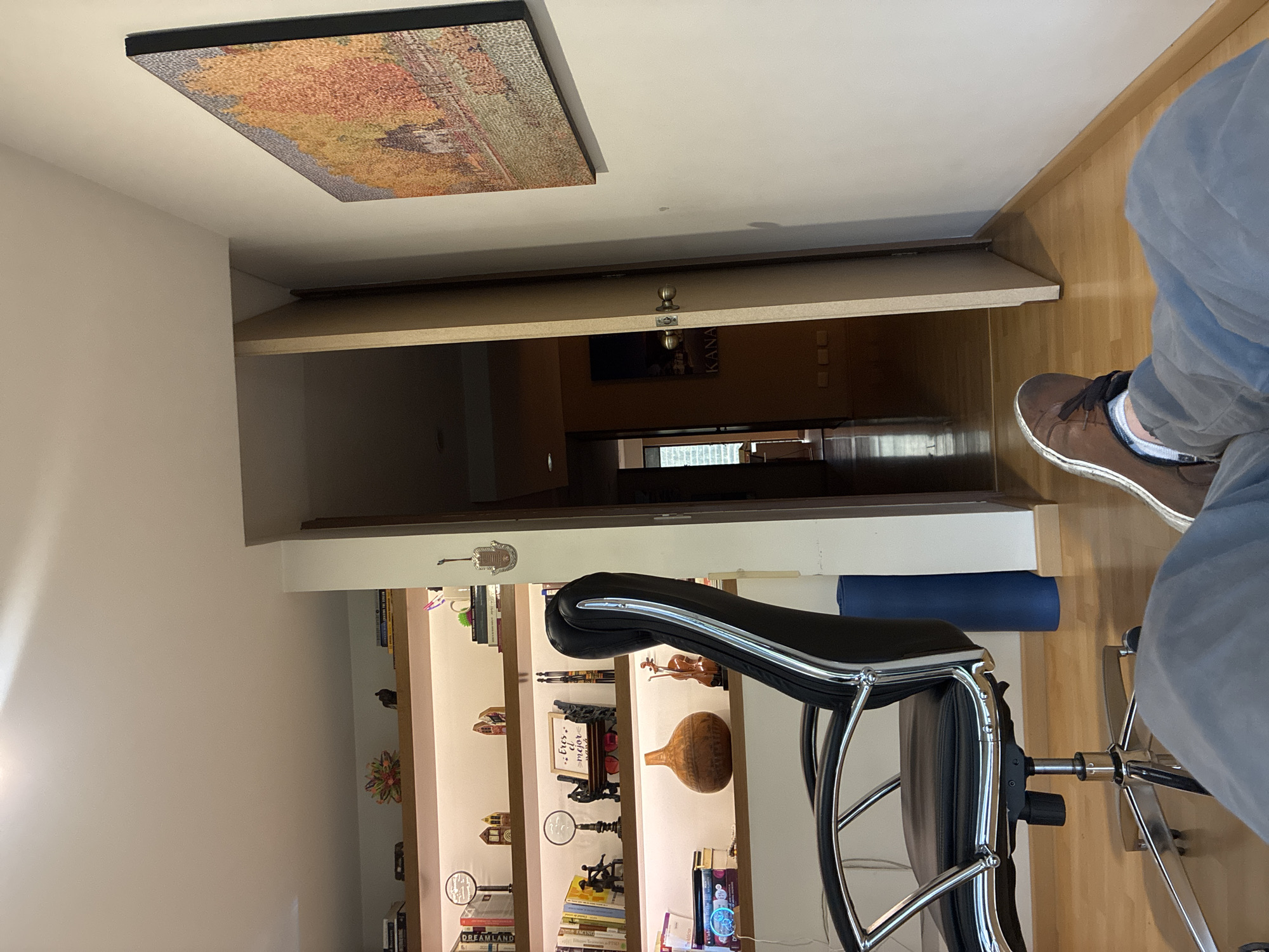 The image depicts an interior space. A partially opened door reveals a hallway leading to other rooms. A painting or tapestry is affixed to the ceiling. To the left of the door is a tall bookshelf, lit from behind, filled with books and decorative items. A black office chair occupies the foreground, with a person seated in it, only their legs and shoes visible. The environment suggests a residential or office setting. There's no definitive information available to confirm that the location is in Mexico City, Mexico.