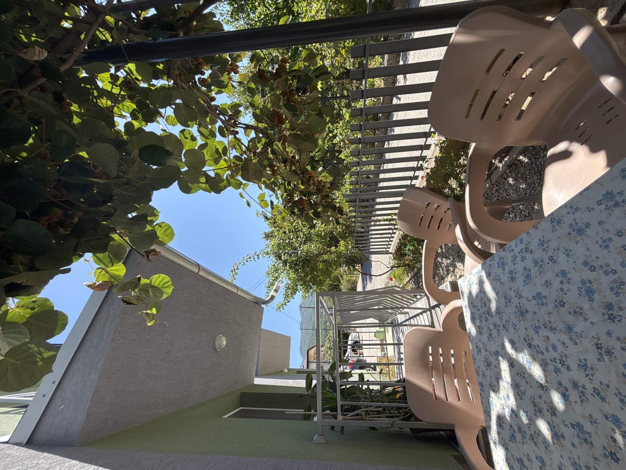The image depicts an outdoor patio area adjacent to a light green building. In the foreground, a table covered with a floral tablecloth, featuring a pattern of blue and beige flowers, is visible. Two light brown plastic chairs are positioned at the table, with their backs and arms facing the viewer. A third identical chair is partially visible to the left. A metal railing runs behind the table and chairs, separating the patio from a pathway. Beyond the railing, a grey metal fence encloses a garden area. A kiwi tree with abundant fruit and large green leaves hangs over the patio, casting dappled shadows on the table and chairs. The background shows more greenery, a paved path, and distant hills under a clear blue sky. The scene is set during daylight. The building appears to be a residential property in Leskoec, North Macedonia, characterized by its light green exterior and grey overhang.
