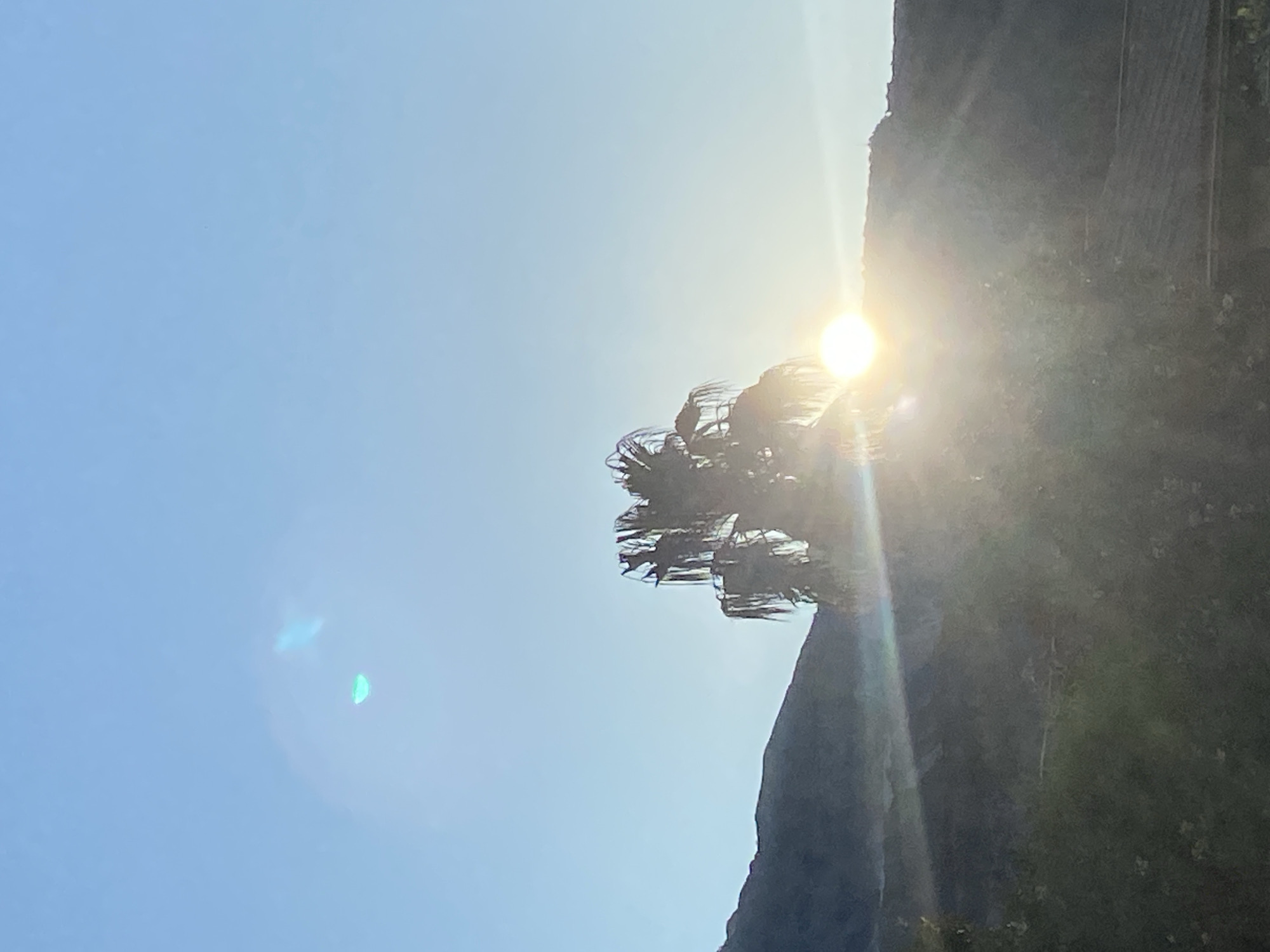 The image, taken in daylight, shows a bright, clear sky on the left. A dark, textured rock face appears on the right, with a possible palm tree silhouette partially obscuring the sun at the top. The presence of sun flares suggests the sun is the primary light source. The photo is oriented vertically. While a city location in Budva, Montenegro is inferred, there are no direct visual elements in the image to explicitly confirm this.