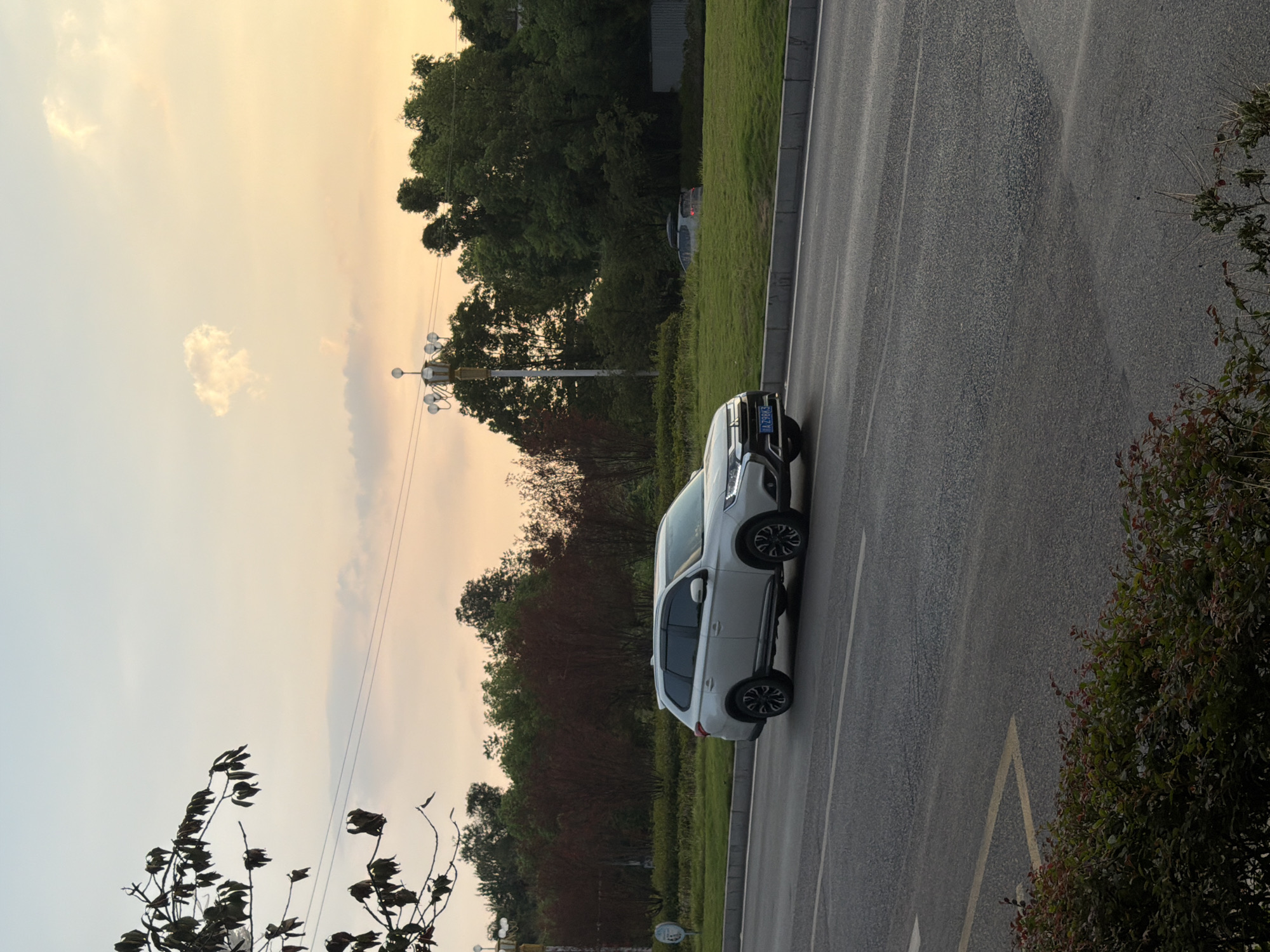 An overcast sky with a pale yellow and orange hue is visible at the top of the image. The sky is partially obscured by the dark branches of a tree on the left side. In the middle ground, a white SUV is driving on a paved road. The car has tinted windows and a roof rack. To the right of the road is a grassy median with scattered trees and shrubs. A street lamp with multiple bulbs stands on the median. In the background, there are more trees and a building. The foreground shows a portion of the road and some green bushes. The scene appears to be in Jiangjin, China, based on the license plate of the car.