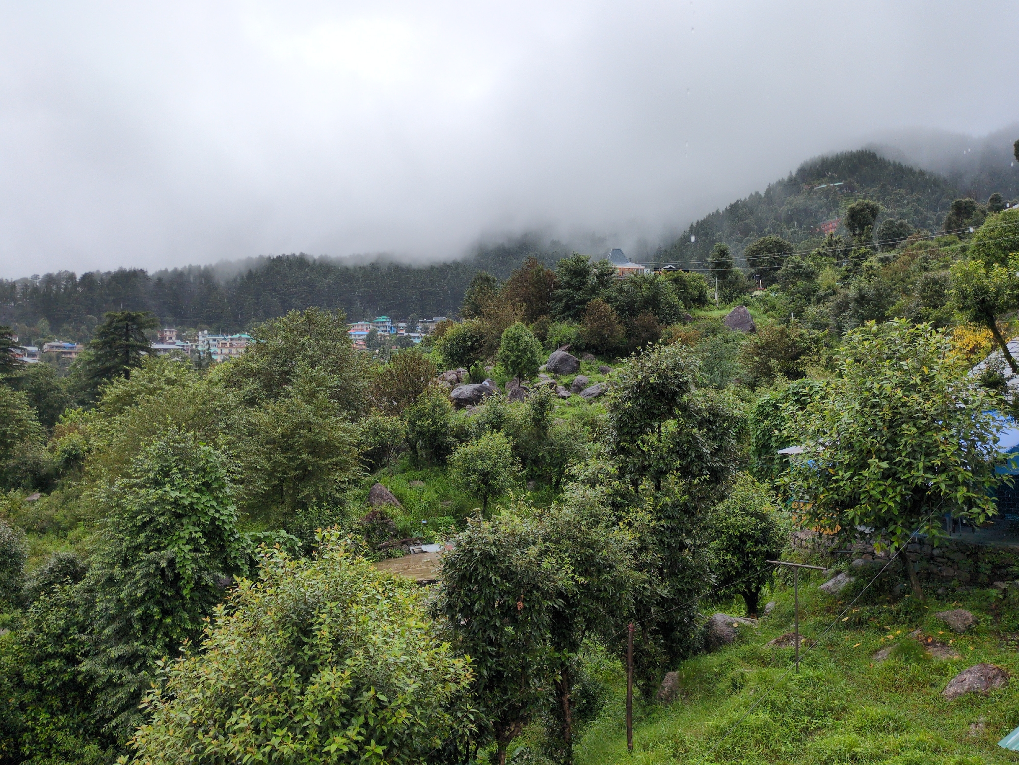 The image depicts a lush, green hillside with dense vegetation in Bhagsu, India. In the foreground, various trees and bushes, some with vibrant green leaves, dominate the scene. Large rocks are scattered across the grassy slopes. Further back, a cluster of buildings with colorful roofs is visible, nestled amongst the trees and on the slopes of the mountains. The background is characterized by a mountain range shrouded in mist and clouds, creating a serene and atmospheric view. The overall impression is one of a natural, mountainous landscape with a settlement integrated into it.