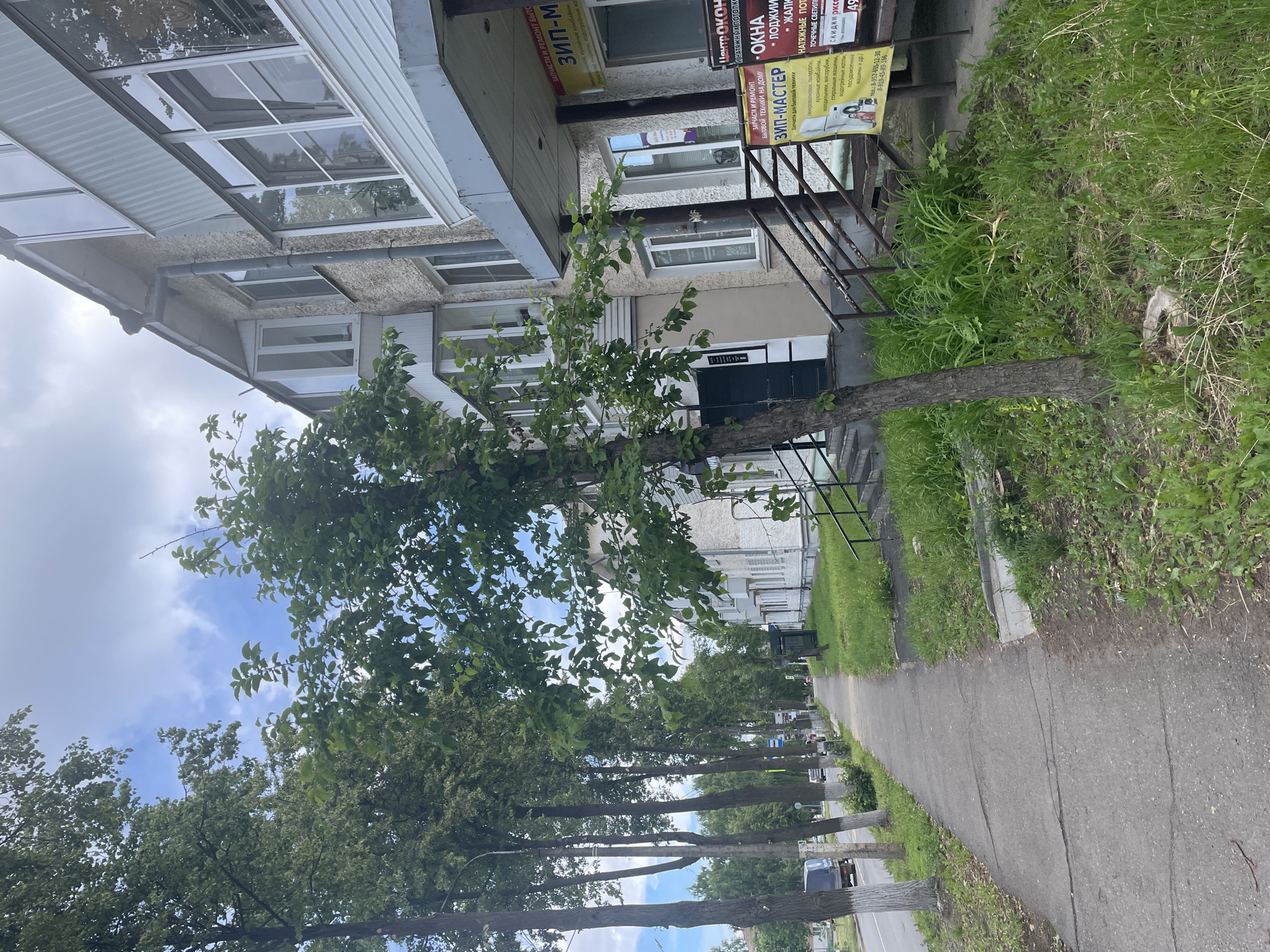 The image captures a street scene in Chaikovsky, Russia. A concrete sidewalk runs alongside a building with multiple stories and balconies. The building's facade is a textured, light-colored material, with white trim around the windows and balconies. Several trees with green foliage are planted along the sidewalk, casting shadows. A road runs parallel to the sidewalk on the left, with a few cars visible. In the foreground, there is a young tree with a slender trunk and green leaves. On the building's ground floor, there are signs for businesses. One sign, partially obscured by the tree, appears to be for a repair service named "ЗИП-МАСТЕР" (ZIP-MASTER), offering repairs for household appliances. Another sign, to the right, is for a company named "ЦЕНТР ОКНА" (CENTER WINDOWS) and mentions "НАТЯЖНЫЕ ПОТОЛКИ" (stretch ceilings). The sky is partly cloudy, with patches of blue. The overall scene depicts an urban environment with residential and commercial elements, characteristic of a Russian city.