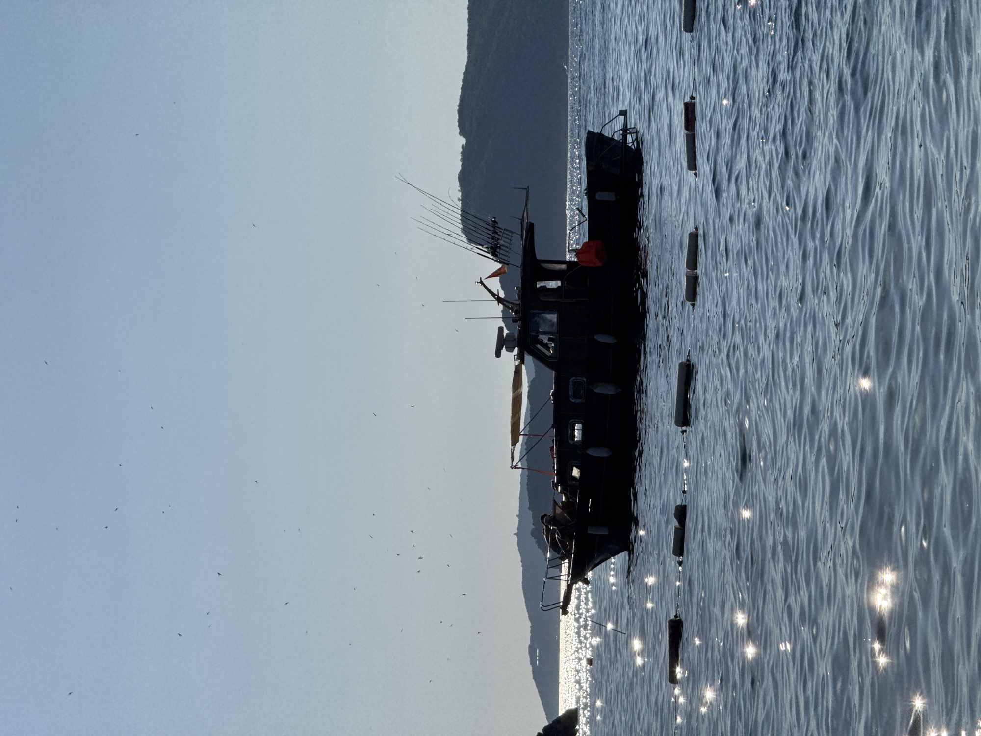 The image captures a scene in the waters near Sveti Stefan, Montenegro. A dark-colored boat, equipped with fishing rods, is anchored in the calm blue sea. Sunlight glints off the water's surface, creating a shimmering effect. In the background, a hilly landscape is visible, shrouded in a light haze. The sky is a clear, pale blue, dotted with numerous small birds in flight. A series of buoys are strung together, marking an area on the water. Two individuals are seated on the boat, appearing relaxed. The overall atmosphere is serene and peaceful, suggesting a pleasant day at sea.