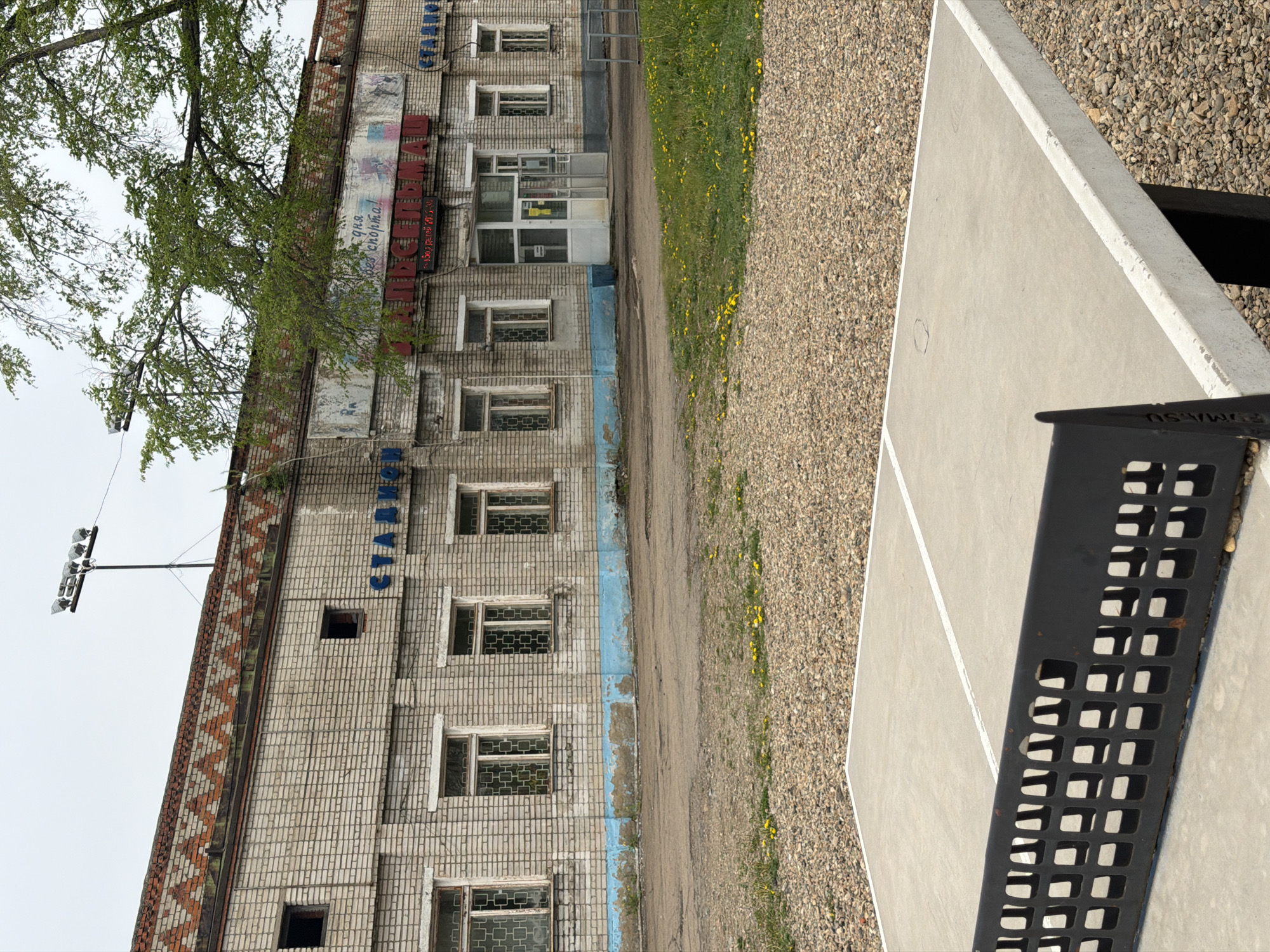 The scene shows an outdoor ping pong table situated next to a weathered, multi-story brick building in what is presumably Birobidzhan, Russia. The building features rows of windows and signage in Cyrillic, appearing old with faded paint and exposed brickwork. A strip of grass and dandelions separates the building from the gravel surface around the ping pong table. The table is concrete with a white dividing line and a black net. The overall impression is one of urban decay and aging infrastructure.