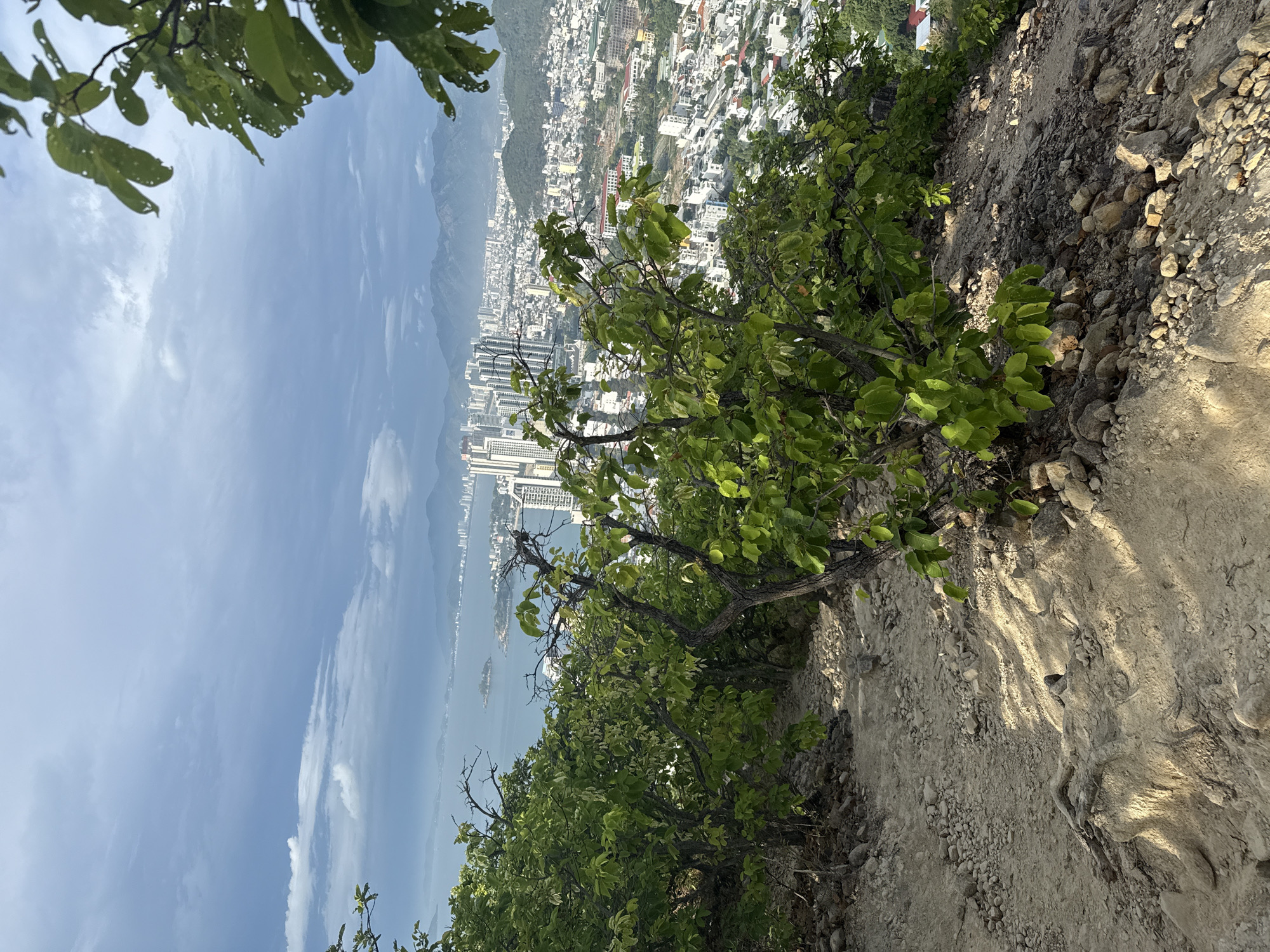 An elevated perspective captures Nha Trang, Vietnam. The cityscape, filled with buildings of varying heights, stretches to the coast, where the sea meets the city's edge. Mountainous terrain rises in the backdrop, creating a scenic panorama.
The foreground includes greenery, specifically bushes, which line the edge of what appears to be a dirt cliff or hill. The terrain is composed of dirt, small rocks, and exposed roots. The sky, with scattered clouds, is visible in the upper left portion of the frame.