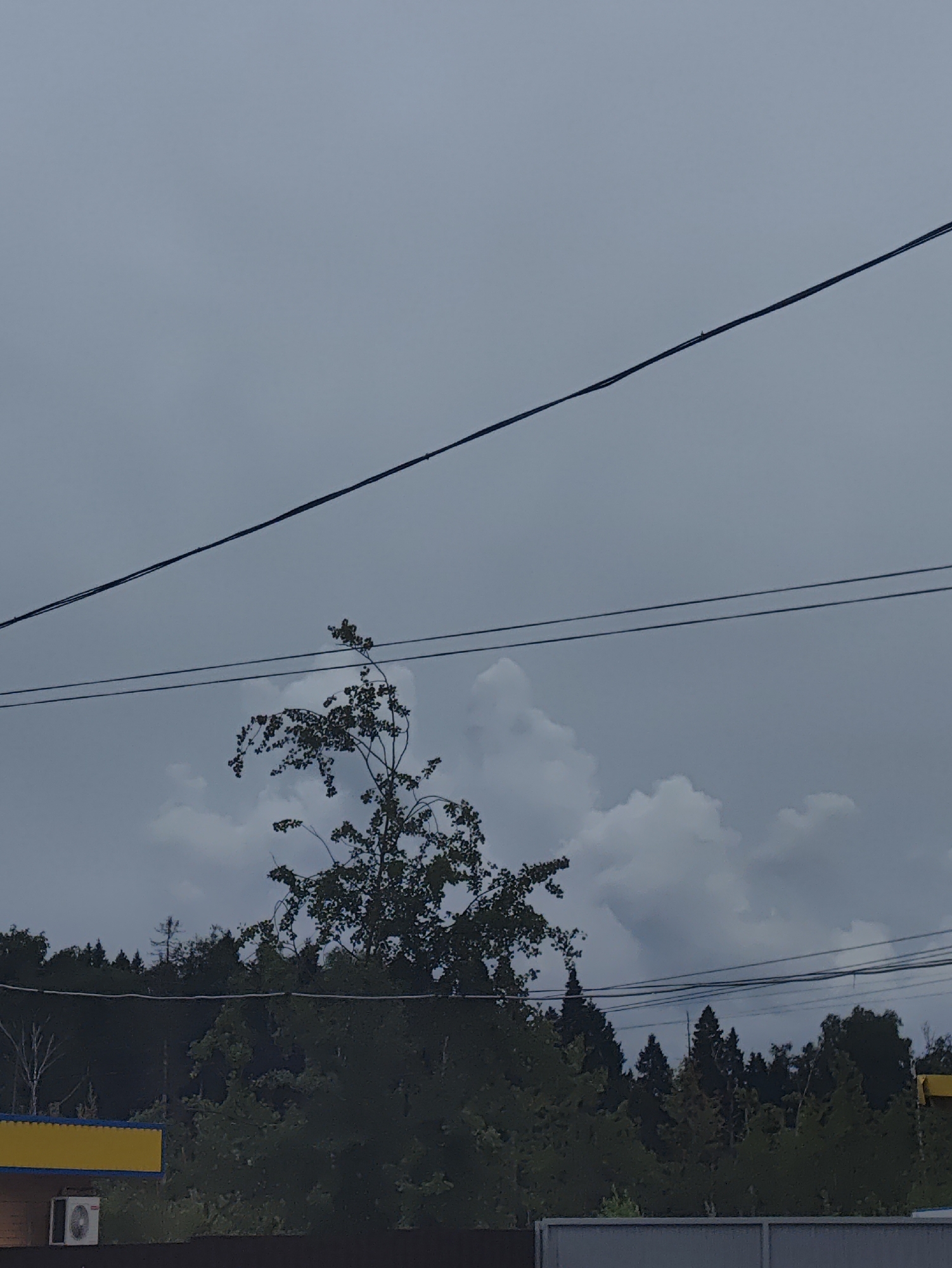 The image shows an overcast sky with several power lines traversing diagonally across the frame. In the middle ground, a solitary tree with sparse foliage stands against a backdrop of cumulonimbus clouds. The lower portion of the image reveals a dense line of trees forming a natural border. In the foreground, a yellow structure with a blue trim is visible, with an air conditioning unit mounted on a wall beneath it. The scene appears to be in a semi-urban or rural area, possibly on the outskirts of посёлок совхоза "Останкино", Russia, given the presence of both natural elements and man-made infrastructure. There are no people visible in the image.