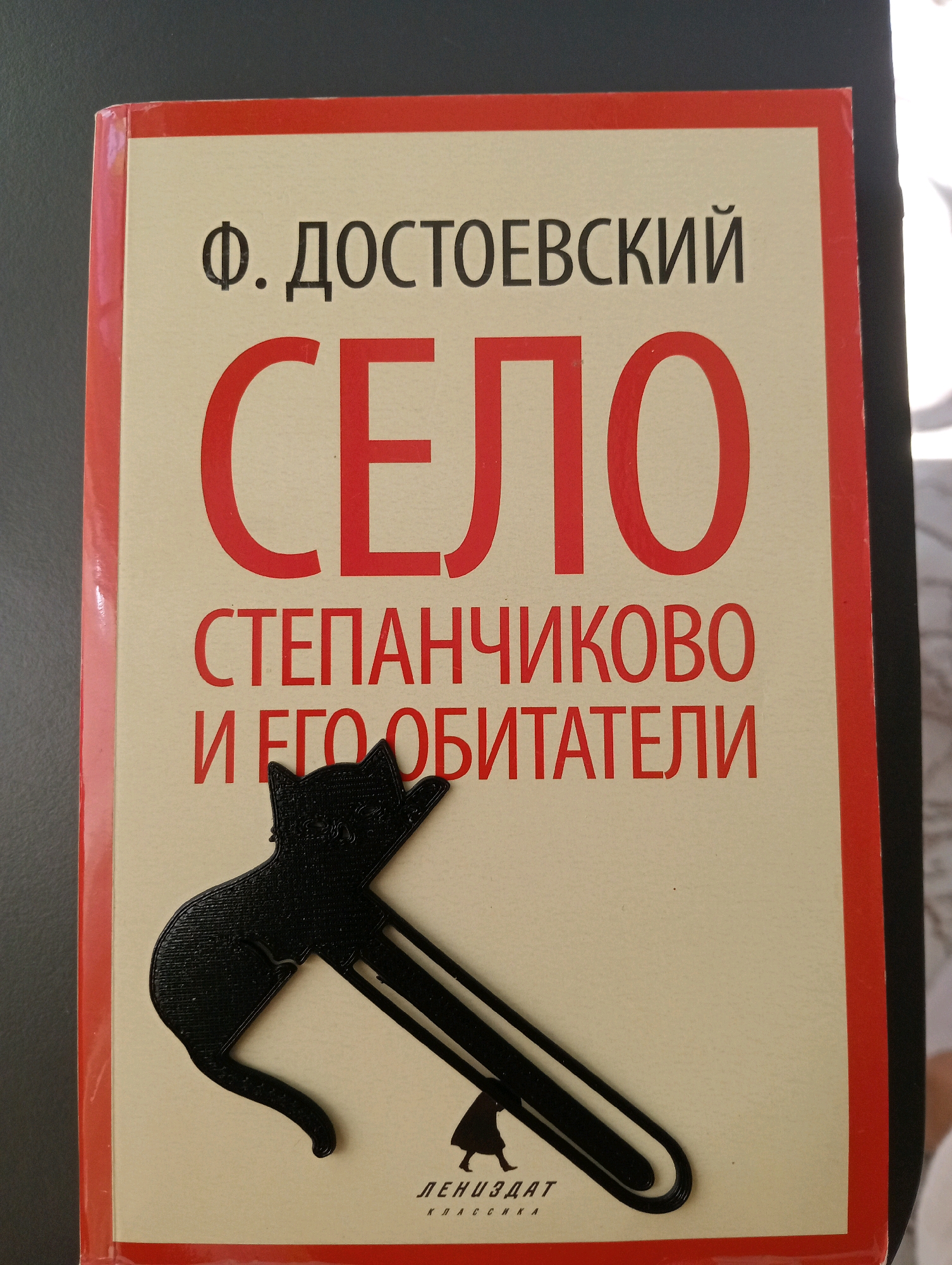 The image shows the front cover of a book titled "СЕЛО СТЕПАНЧИКОВО И ЕГО ОБИТАТЕЛИ" (The Village of Stepanchikovo and Its Inhabitants) by F. DOSTOEVSKIY. The book has a cream-colored cover with red text and a red border. A black silhouette of a cat with a long tail is positioned over the bottom portion of the text. The publisher's logo, "ЛЕНИЗДАТ КЛАССИКА", is visible at the very bottom of the cover. The book is lying flat on a dark, textured surface. There is no indication of the city of Silifke, Turkey, in the image.