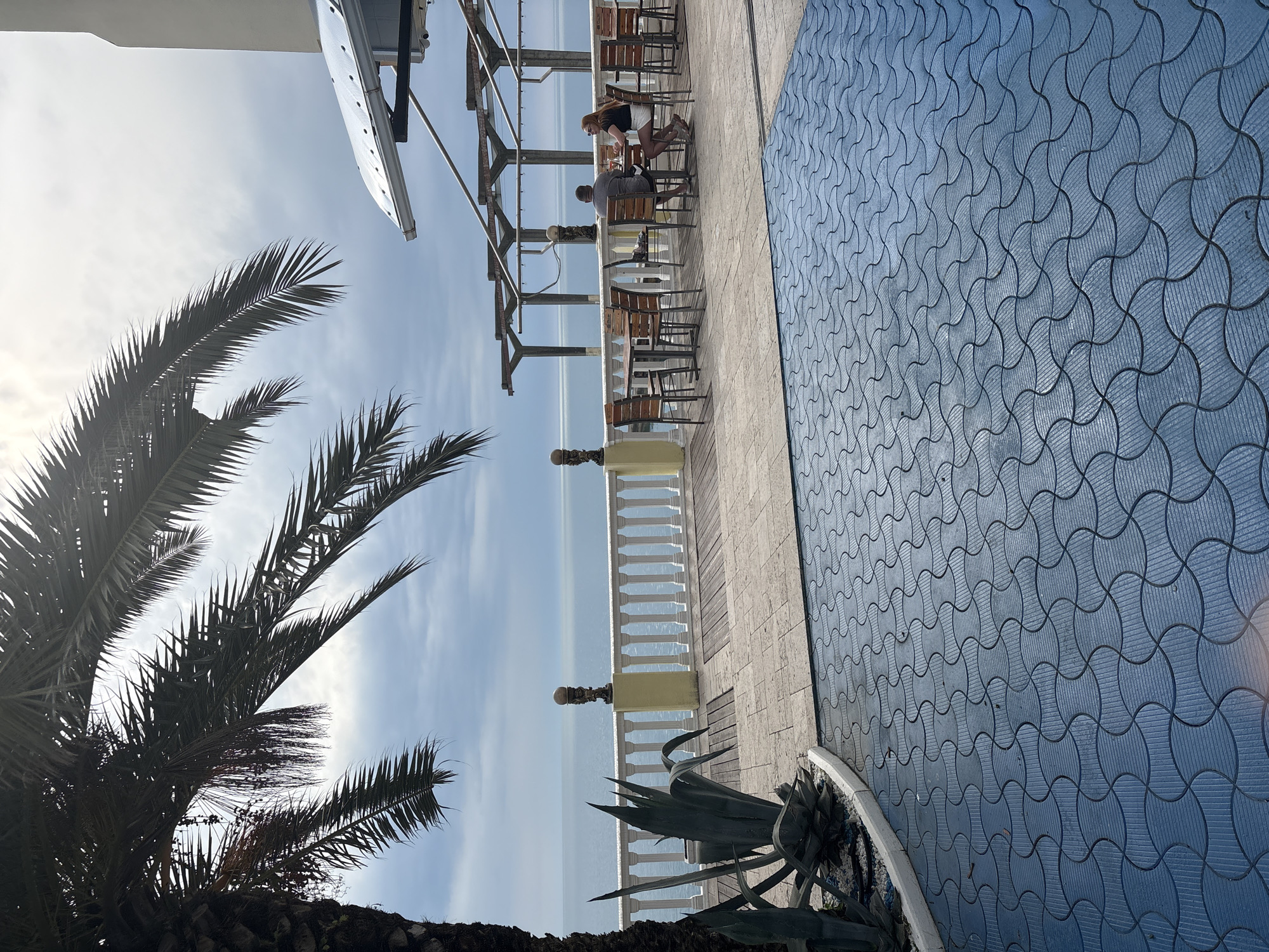 The image captures a seaside scene in Sochi, Russia. A palm tree and an agave plant are in the foreground. A patio with tables and chairs is set up along a railing overlooking the sea. People are seated at one of the tables. The patio floor has a blue, interlocking circle pattern. The sky is visible with some clouds. A partial view of a building or structure is at the top of the image.
