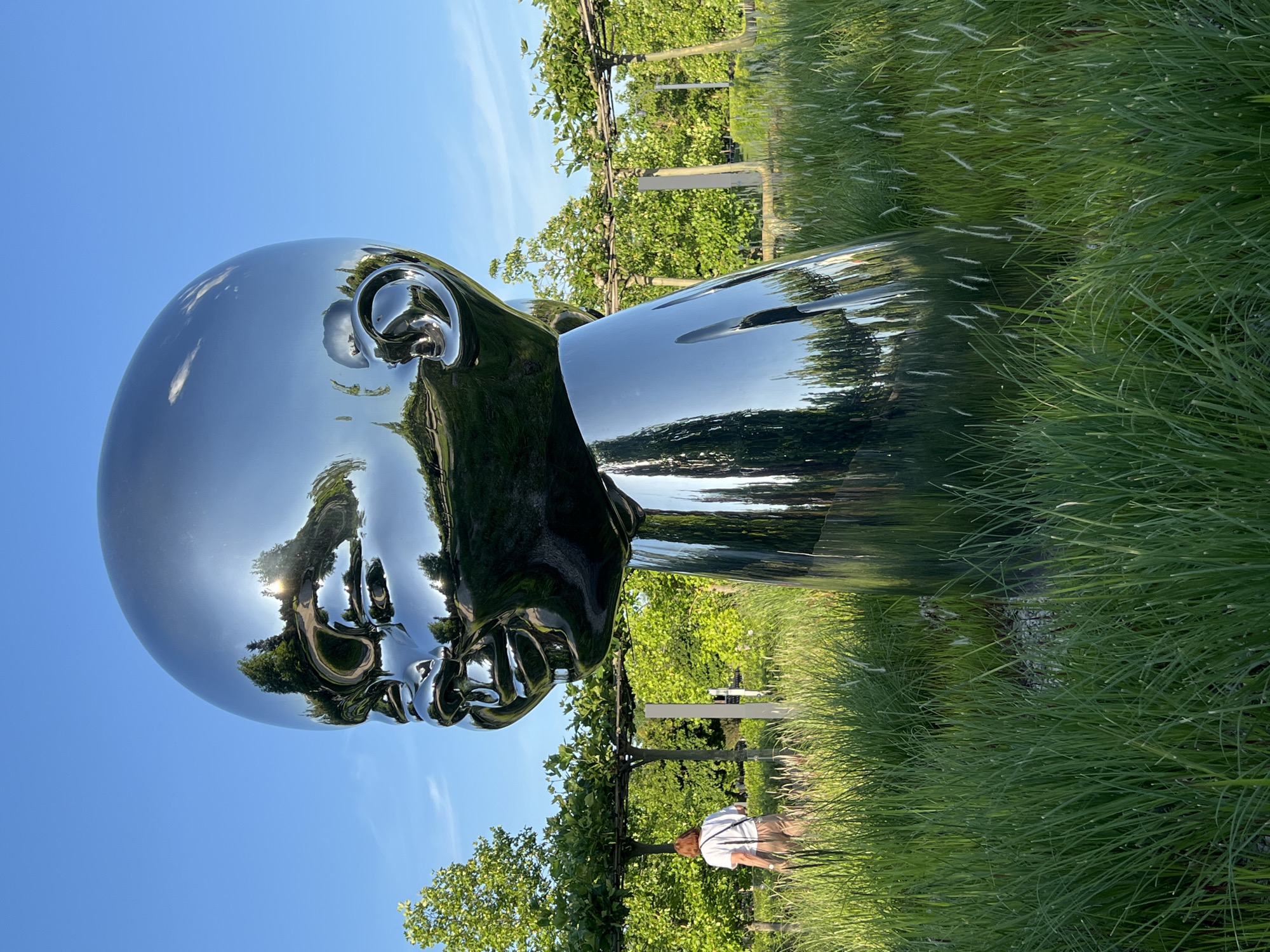 A large, highly polished chrome sculpture of a human head and neck dominates the left and central parts of the frame. Its reflective surface acts as a mirror, vividly capturing the clear blue sky with wispy clouds, bright sunlight, and the surrounding lush green trees and foliage. A significant sun glare is visible in the reflections on the sculpture's upper left side.
In the mid-ground, behind the sculpture, are neatly arranged rows of trellised plants with dense green leaves, suggesting a vineyard or a meticulously landscaped garden. The foreground and areas around the sculpture are covered in vibrant, tall green grass, some with feathery white seed heads.
One person is visible in the background towards the right, partially obscured by the sculpture and vegetation. They are seen from behind, walking away from the viewer, and appear to be wearing a light-colored short-sleeved top and light brown trousers.
The scene is set outdoors under a clear blue sky, indicating bright, sunny weather during the daytime. The overall impression is one of peacefulness and serenity within a well-maintained natural environment, likely a park, vineyard, or art installation area. There is no visible text in the image.