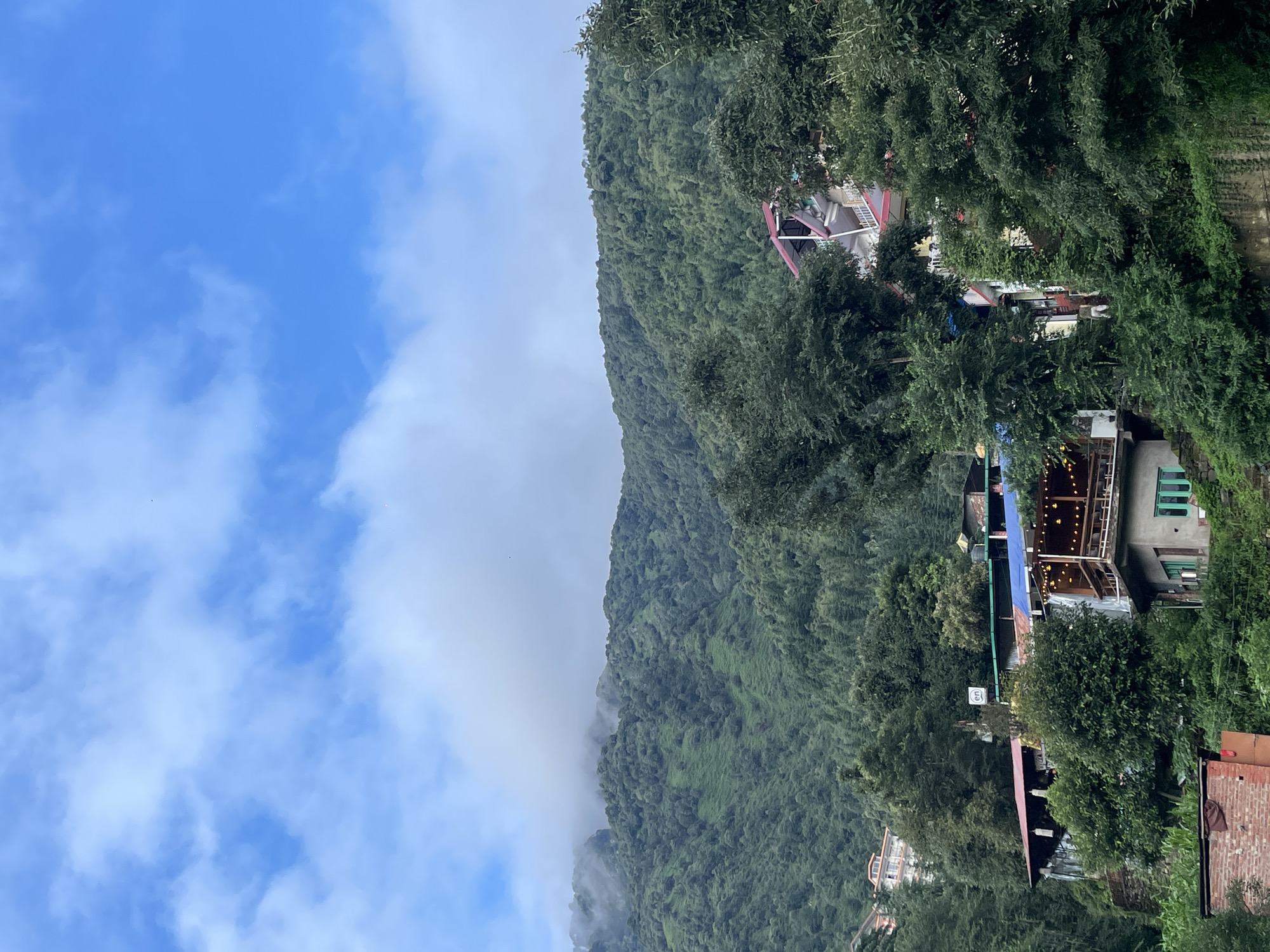 The image captures a verdant hillside in Bhagsu, India, with buildings nestled among lush green trees. In the foreground, a multi-story building with a red roof and balconies adorned with string lights is visible. To the left, another building with a red roof and blue awning stands. Further up the hill, more buildings with balconies and windows can be seen. The background is dominated by a densely forested mountain slope, partially shrouded in mist at the summit. The sky above is a mix of blue and white clouds. The scene depicts a residential and possibly commercial area integrated with the natural mountain landscape.