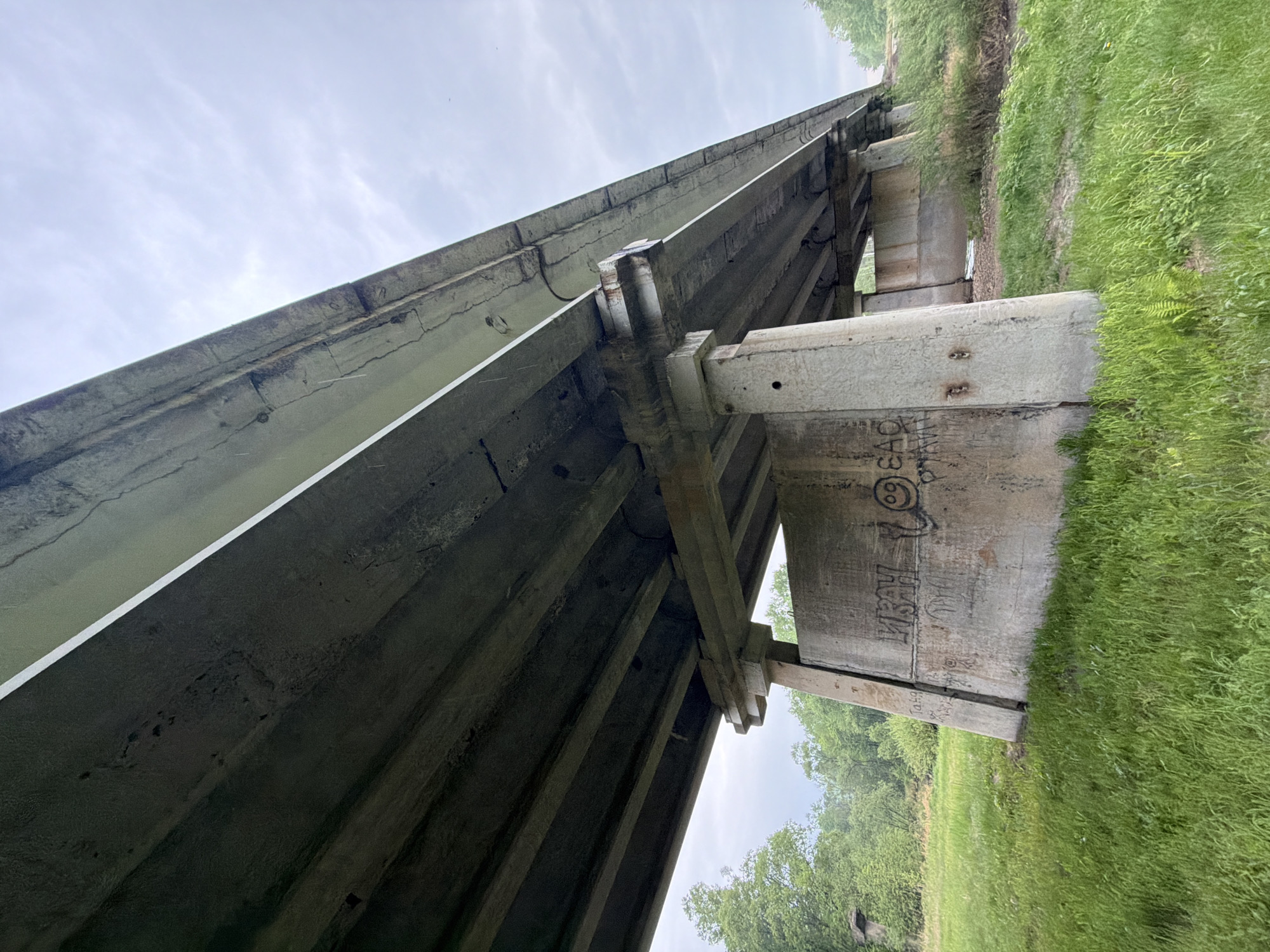 A low-angle shot depicts the underside of a bridge structure. The bridge appears to be constructed primarily of concrete. Graffiti is visible on a support pillar of the bridge. Lush green grass and foliage are visible on the ground adjacent to the bridge support. The sky is overcast with grey clouds. The location cannot be determined as Trek, Russia, due to lack of identifying factors.