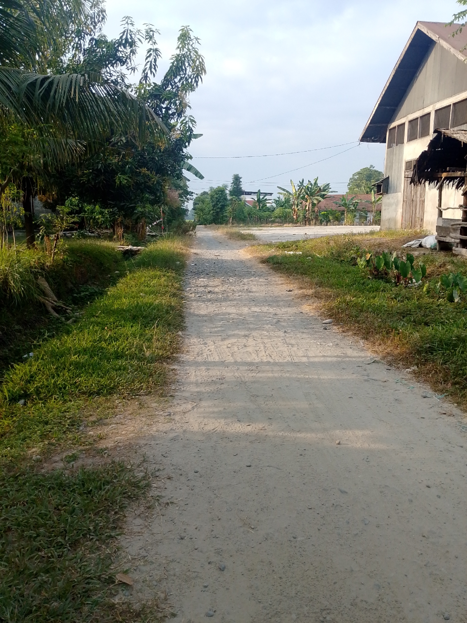 The image shows a dirt road in Se'pon, Indonesia, lined with lush green vegetation. On the left side of the road, palm trees and other leafy trees create a dense canopy. The road itself is a light brown color with tire tracks visible in the dirt. To the right of the road, there is a large, unfinished concrete building with a sloped roof and several window openings. Adjacent to the building is a smaller structure with a thatched roof. Further down the road, more trees and buildings can be seen in the distance. The sky is overcast with a pale blue hue. The overall scene depicts a rural or semi-rural environment.