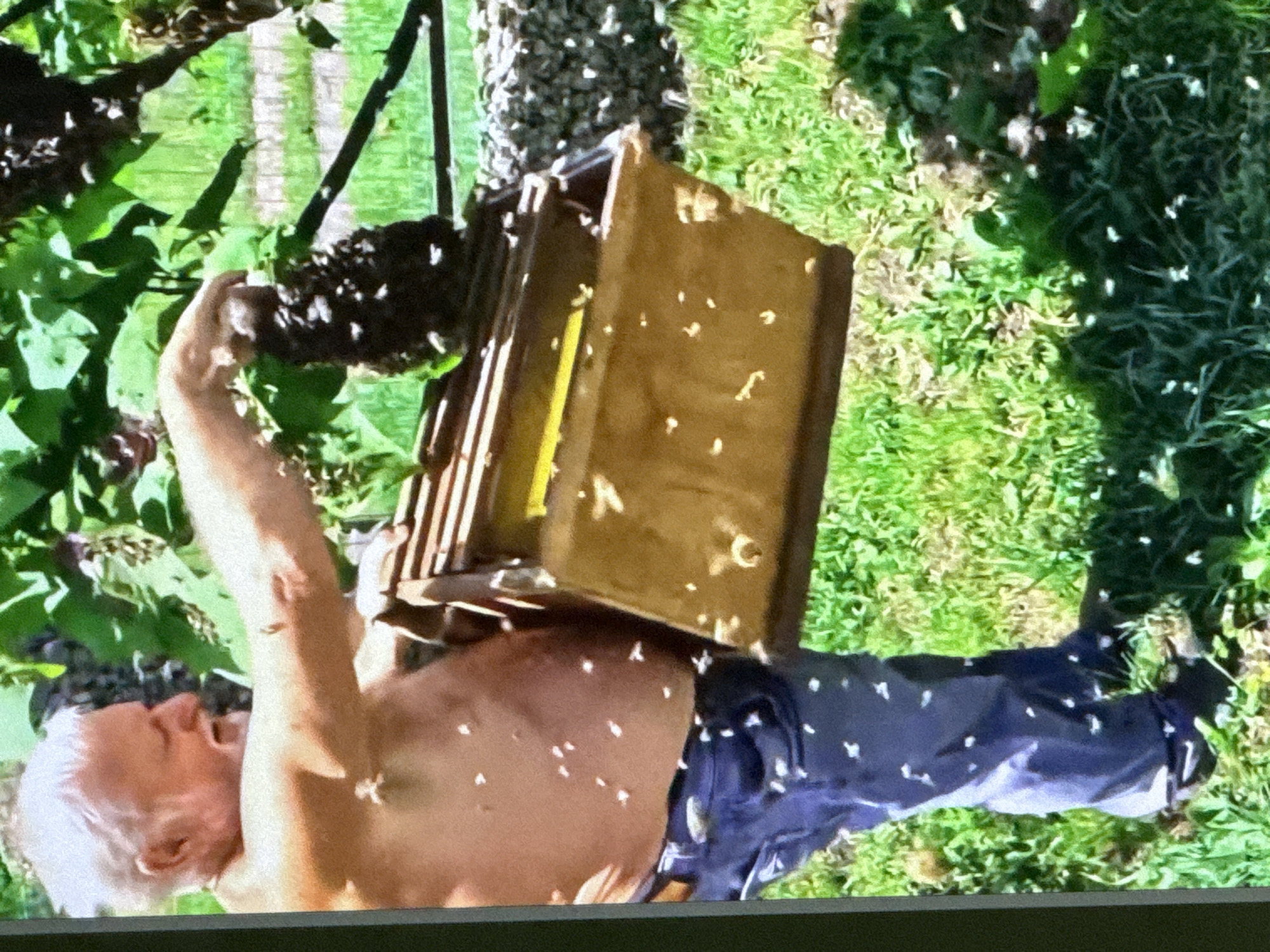 An elderly Caucasian male, shirtless and wearing blue jeans with a white dotted pattern, is holding a wooden beehive box in a grassy outdoor setting. He has white hair and a beard. Numerous bees are visible on his skin, the beehive box, and in the surrounding foliage. The background consists of green foliage and a stone wall. The scene appears to be a beekeeping operation. The location is identified as being in the city of Cahul, Moldova.