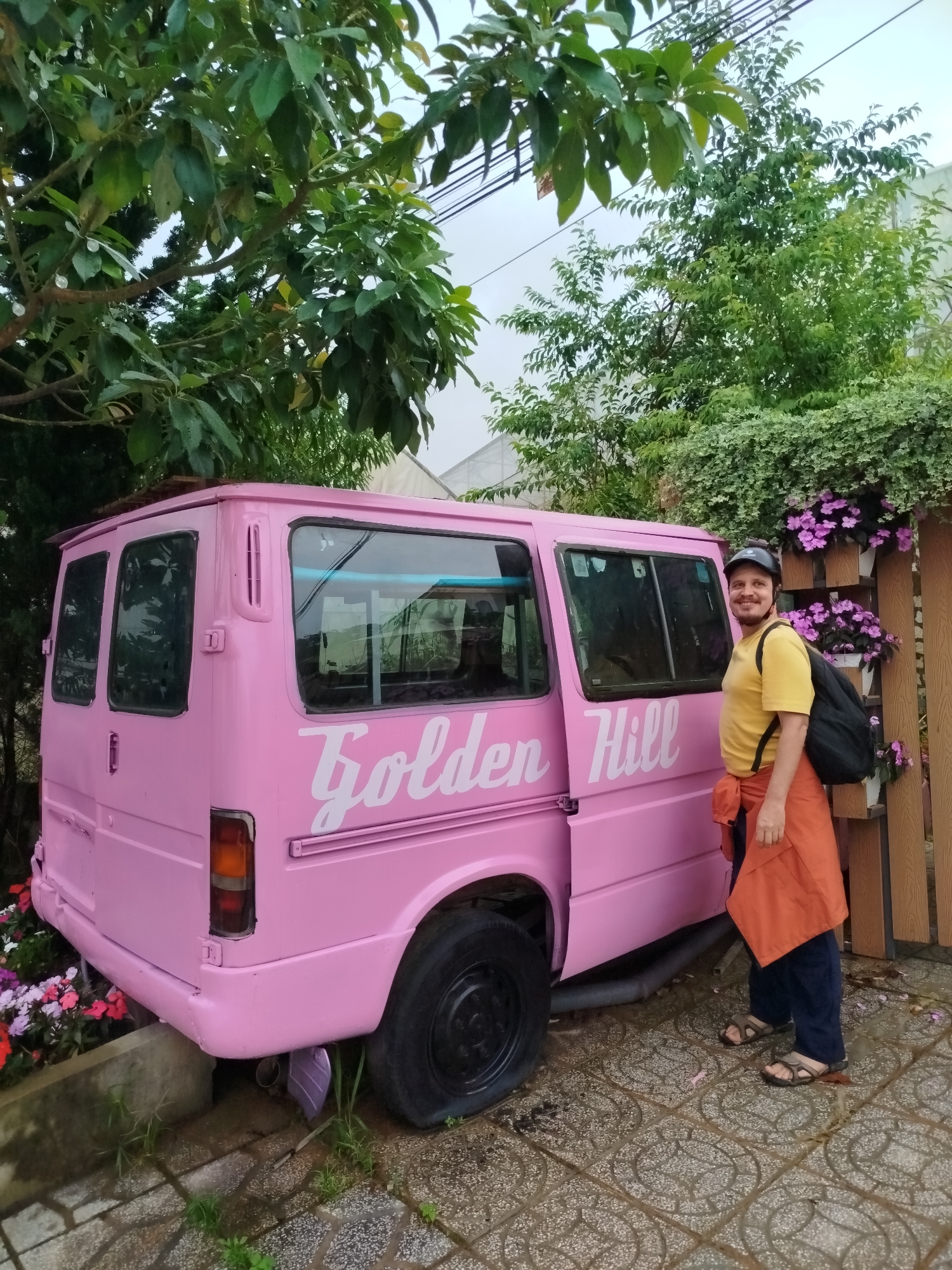 A man stands next to a pink van with "Golden Hill" painted on its side in Lạc Dương, Vietnam. The man, wearing a yellow shirt, blue pants, sandals, and a baseball cap, has an orange jacket draped over his shoulder and a black backpack. The van is parked next to a wooden fence adorned with potted purple flowers. Trees and other greenery surround the scene. The ground is paved with patterned tiles. The sky overhead appears overcast.
