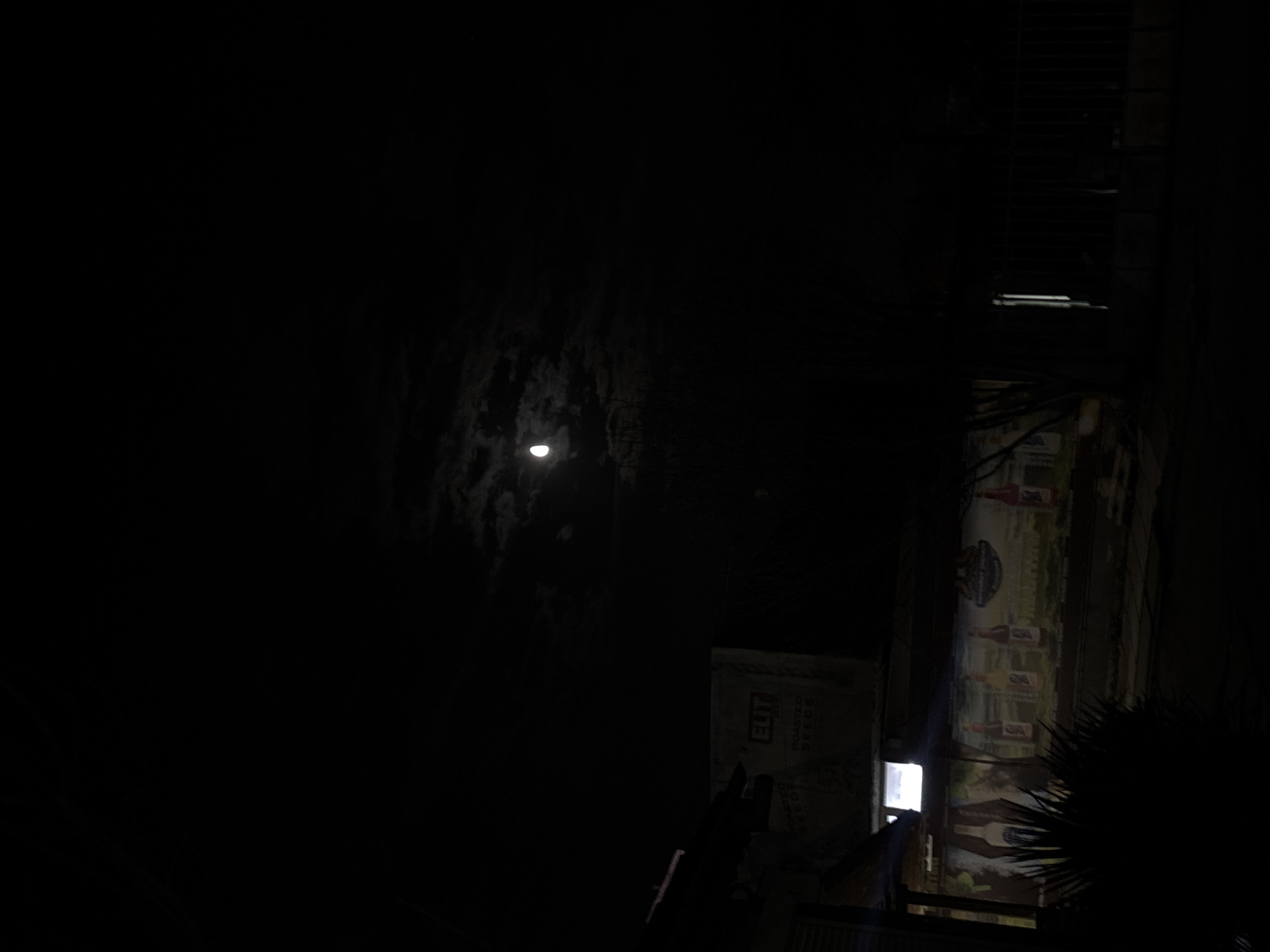 The image, taken at night, shows a partially obscured full moon in the upper left. To the right of the moon, a dark building facade with a mural featuring bottles or cans can be seen. A lit rectangular window is also visible. In the foreground, what appears to be a palm frond adds to the obscurity, along with shadows and darkness that dominate the image. The location is presumably Varna, Bulgaria, though that is not explicitly evident from the image itself.
