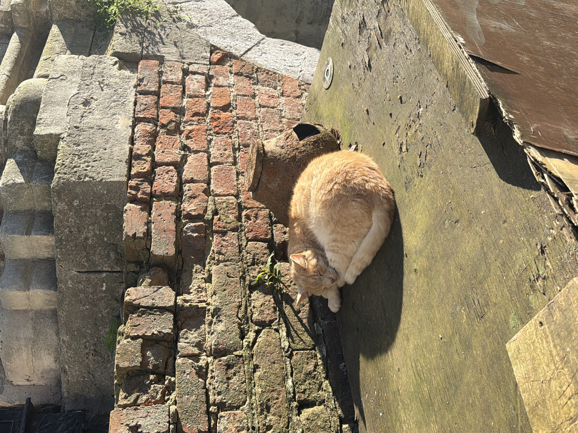 An orange tabby cat sleeps curled up on a weathered wooden surface. The surface is a rough, green-tinged plank, possibly part of a table or bench. Behind the cat, a brick wall, weathered and with patches of moss, forms the background. To the right of the cat, an old, rusted metal pot with a circular opening is placed on the wooden surface. In the upper portion of the image, stone architectural elements, possibly part of a building or monument, are visible, casting shadows. The scene is illuminated by sunlight, creating strong contrasts. This image was captured in Mozhaisk, Russia.