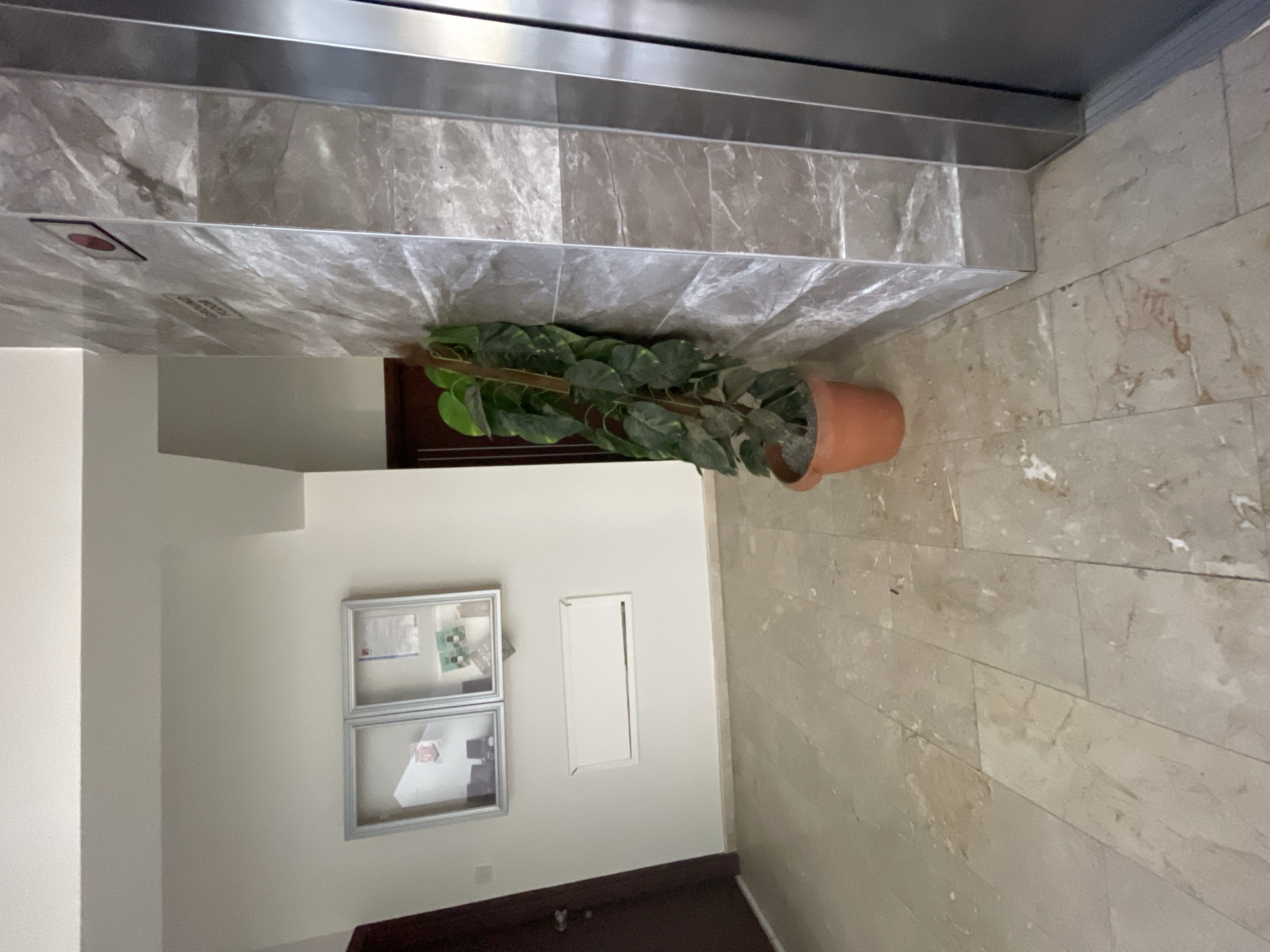The image depicts an indoor hallway, likely in a residential or office building, in the city of Trikomo, Northern Cyprus / Cyprus. A potted plant with large green leaves stands in a terracotta pot near a wall clad in gray marble-effect tiles. Adjacent to this wall is the dark gray door of an elevator. On the opposite wall, which is painted white, are two framed display cases, possibly for notices or artwork, and a white rectangular panel, perhaps a mail slot or vent. A dark brown door is visible on the far left of the image. The floor is tiled with large, light-colored marble slabs. The overall lighting suggests an interior space, possibly with natural light from an unseen source. There are no people visible in the scene.