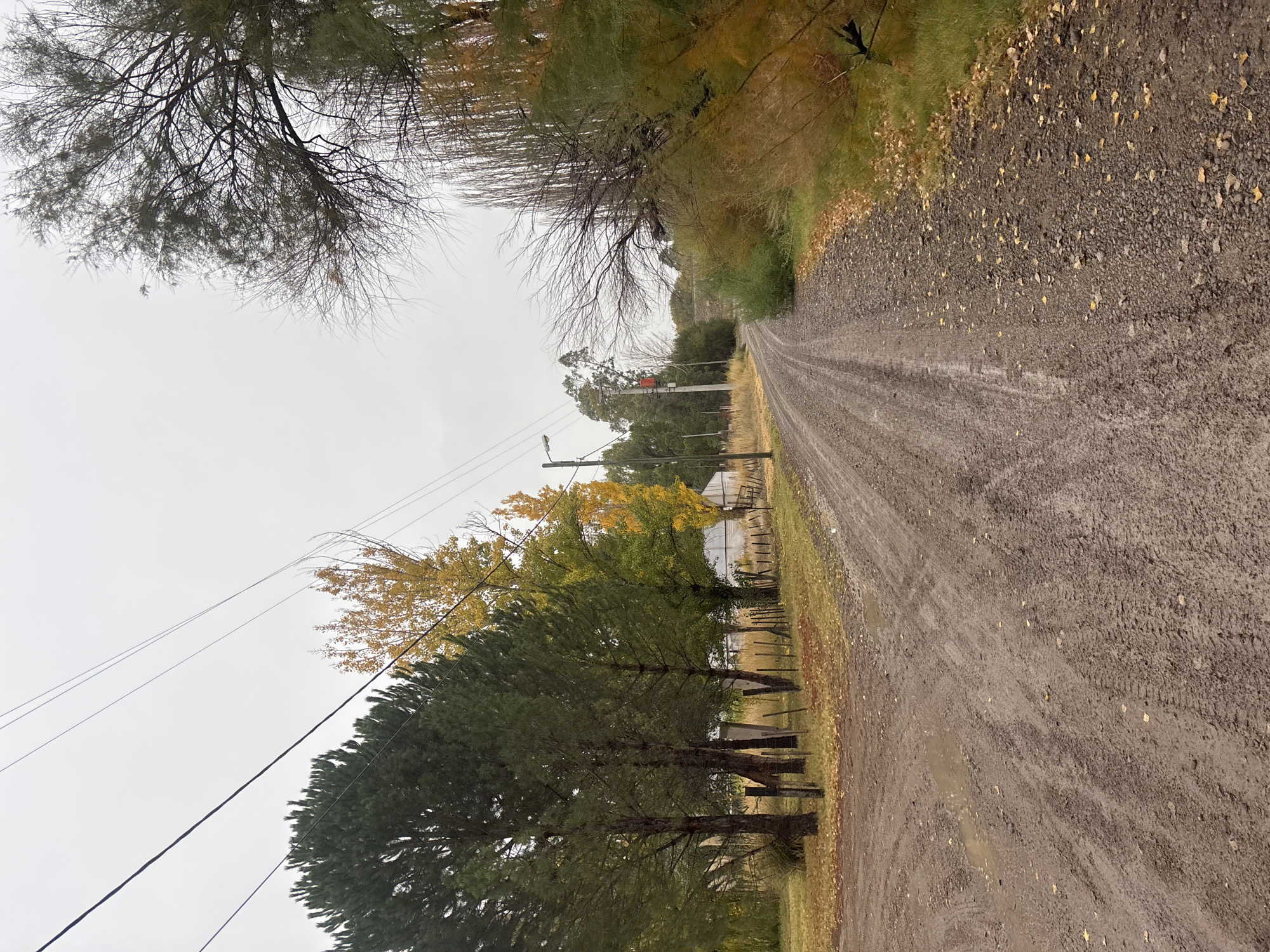 The image depicts a rural road in Trelew, Argentina. The road is unpaved, muddy, and flanked by trees. Some trees display autumn foliage. Utility poles and wires run alongside the road. In the distance, a building with a fence is visible. The sky is overcast. There are no people visible.