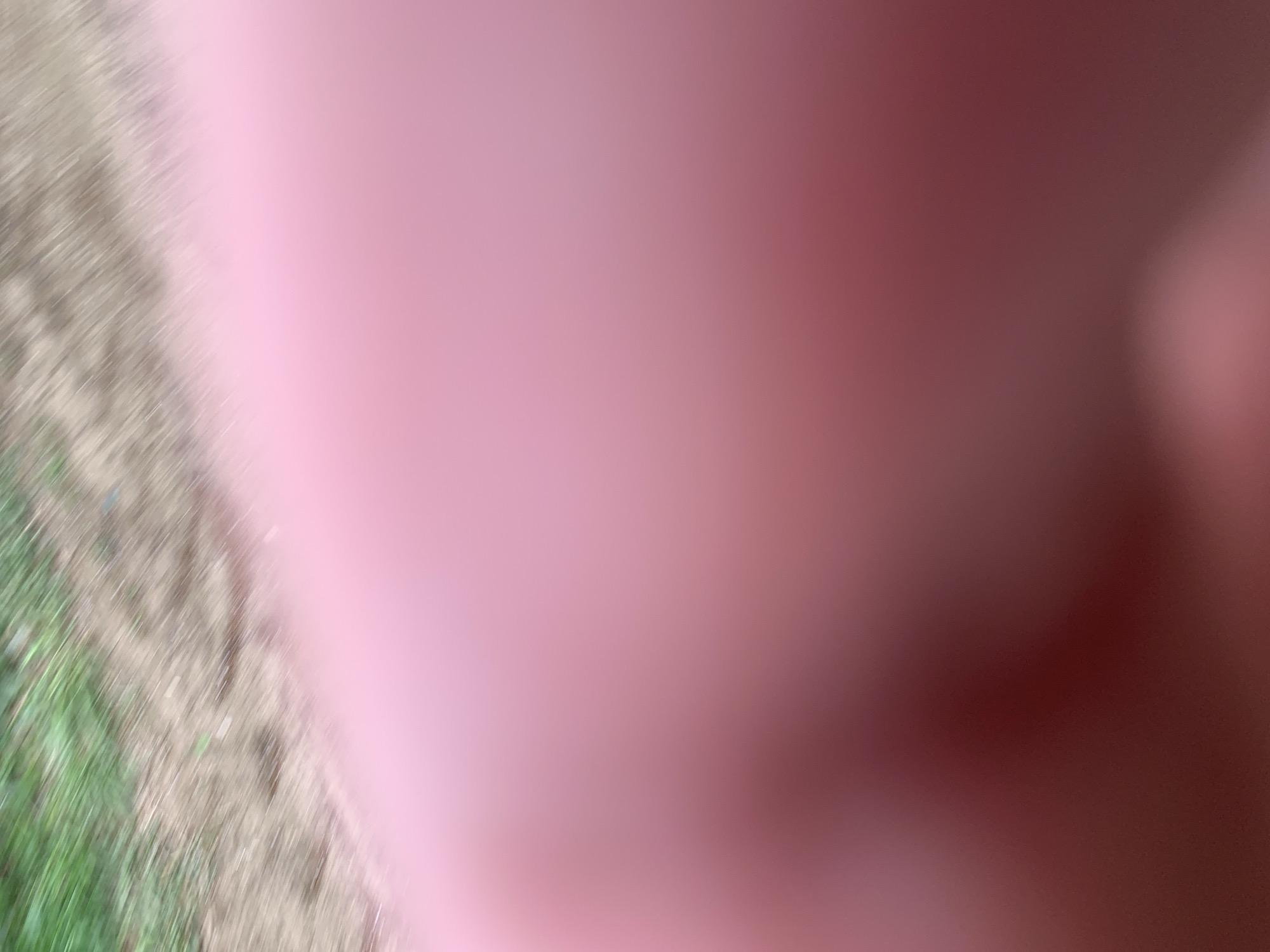 The image is blurred and lacks detail, but it appears to show a patch of ground covered with grass and some dirt or gravel. A pink or reddish object is in the foreground, possibly obscuring the view. The location in Фоки, Russia is not possible to determine from the image.