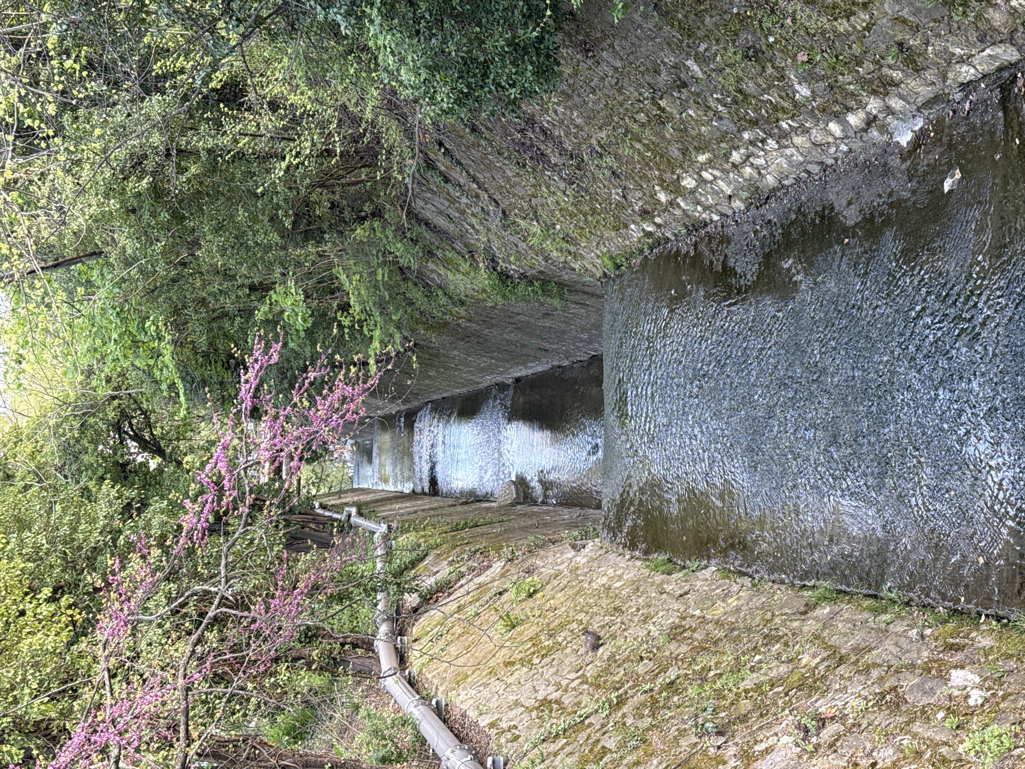 The image shows a canalized waterway in Varna, Bulgaria, likely located within the city's park system. The waterway is lined with stone walls that are covered in moss and vegetation. There are trees and bushes growing along the banks of the waterway, including a tree with pink blossoms. A pipe runs along one side of the waterway. The water in the canal is flowing and reflecting light. The angle of the photo is askew, giving a slightly distorted perspective of the scene.