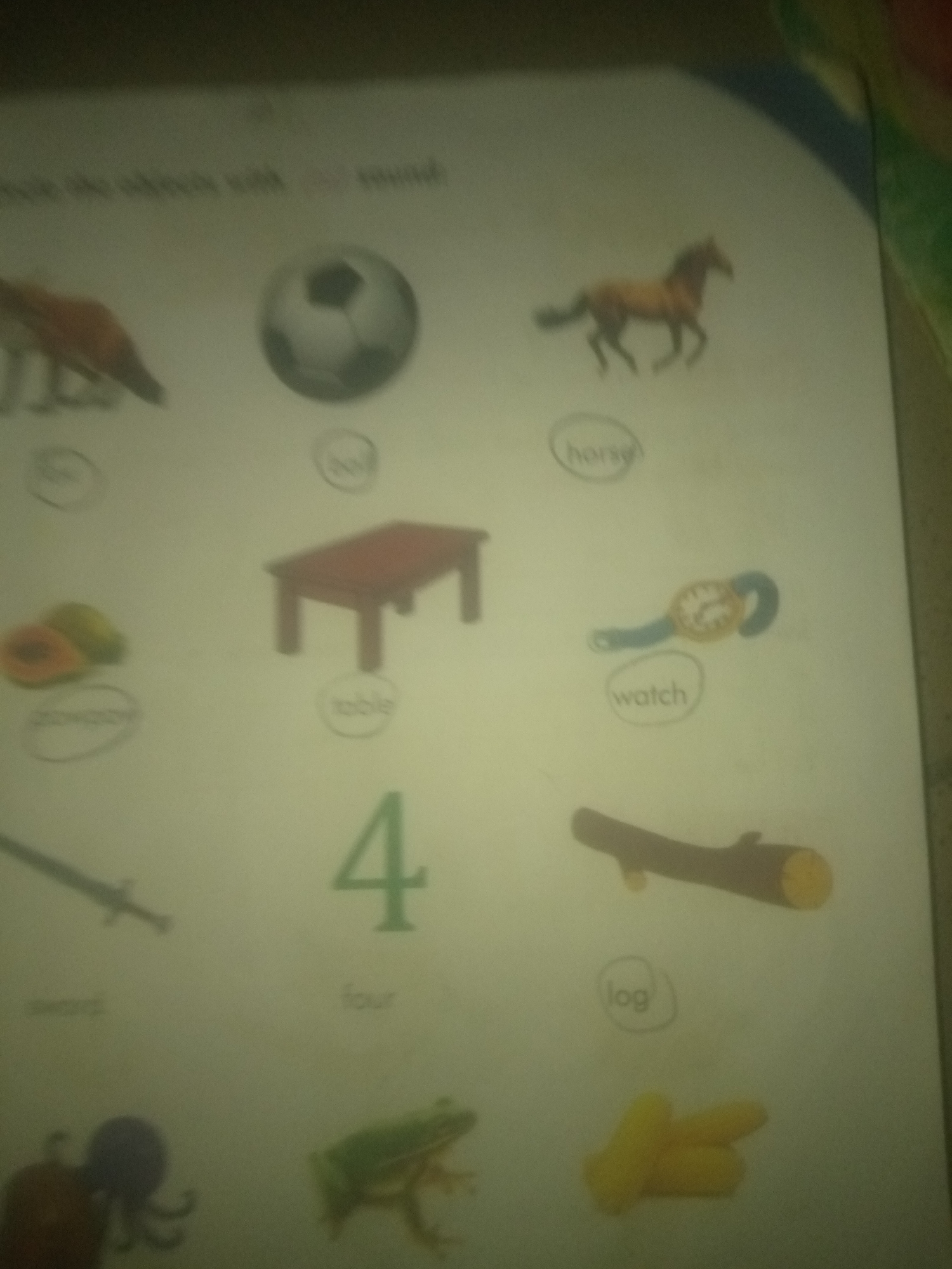 The image is a blurred, close-up, eye-level, indoor photograph of a page from a children's educational book, likely focused on vocabulary or phonics. The page contains several illustrations of objects and animals, each accompanied by a word in a circle. The items depicted are a fox, a soccer ball, a horse, two pieces of fruit (possibly papaya), a table, a watch, a sword, the numeral "4" with the word "four" below it, a log, an octopus, a frog, and some yellow objects that resemble corn. The overall lighting is dim, and the focus is soft, obscuring fine details. There is no discernible connection to Jauro Yinu, Nigeria.