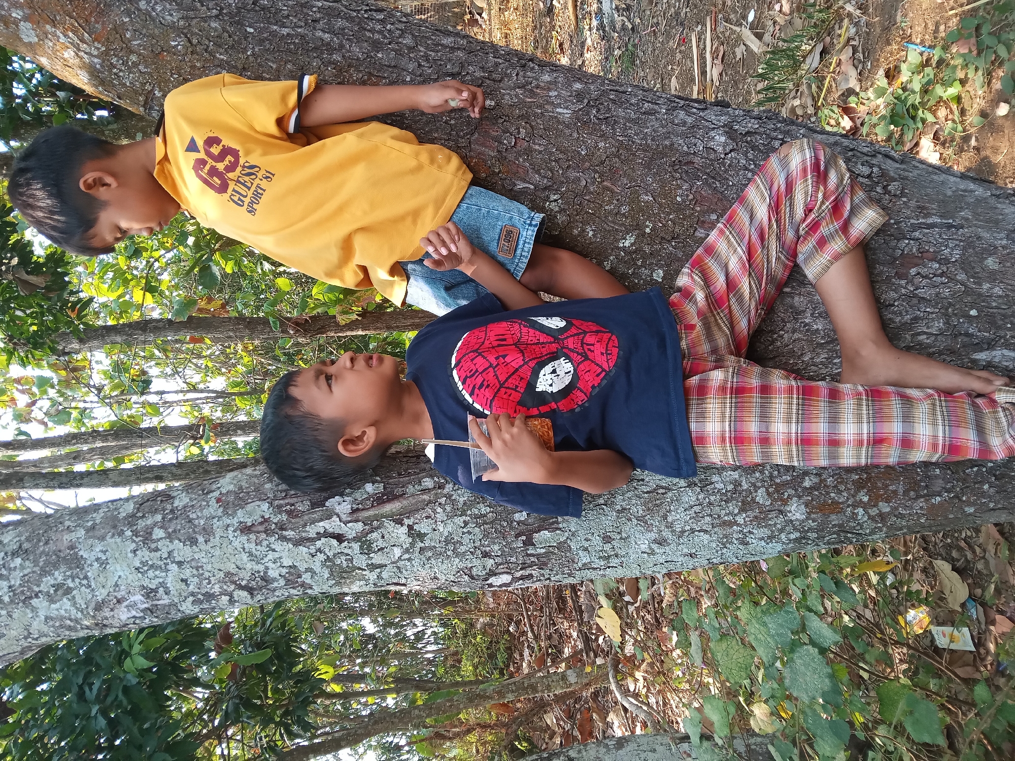 Memory