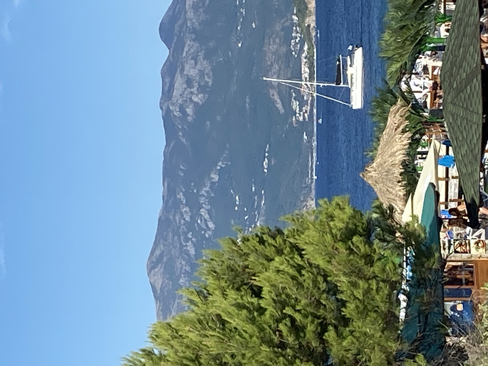 In Prijevor, Montenegro, a serene seascape unfolds under a clear blue sky. A white catamaran sails on the deep blue sea, its mast reaching towards the heavens. In the foreground, lush green pine trees frame the scene, their branches reaching out to embrace the view. Beach umbrellas and thatched roofs suggest a coastal resort, with glimpses of people enjoying the sunny atmosphere. Beyond the water, rolling mountains covered in vegetation and scattered white buildings form a picturesque backdrop. The image captures a tranquil moment, blending natural beauty with the comforts of a seaside escape.