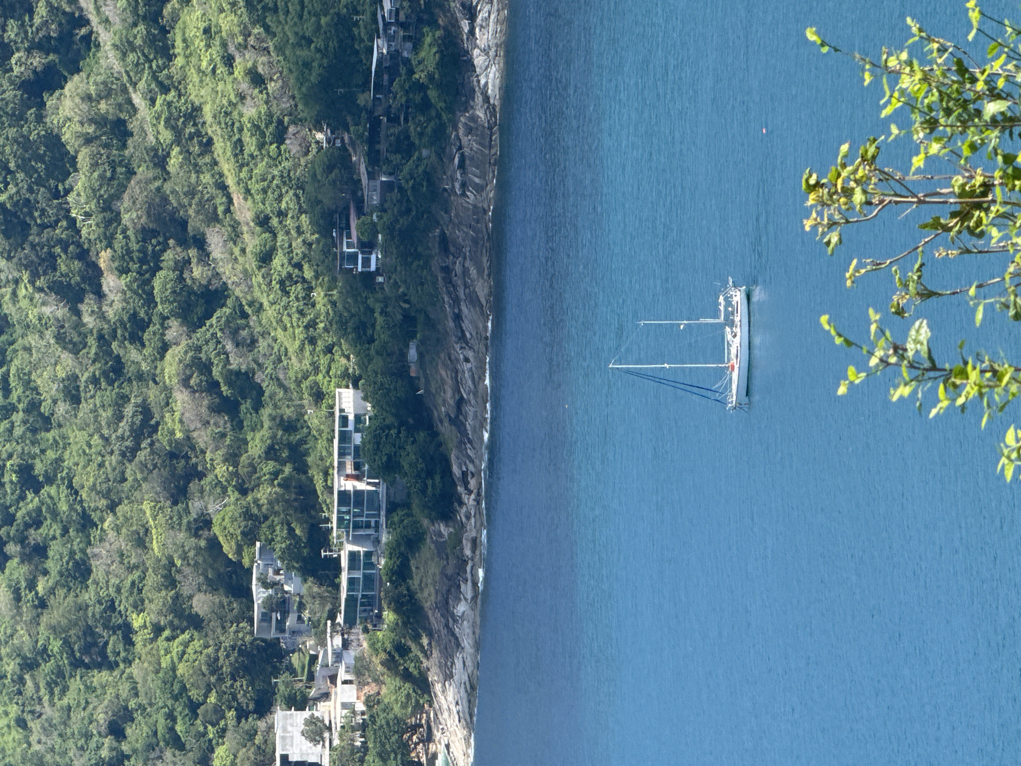In a high-angle shot, a white sailboat with two masts is positioned on calm, deep blue water. In the background, a lush green, tree-covered hillside slopes down to a rocky coastline. Several modern, multi-story buildings with large windows are visible nestled into the hillside along the coast. In the foreground, out-of-focus green foliage is present. The scene depicts a tranquil coastal environment with luxury residences.