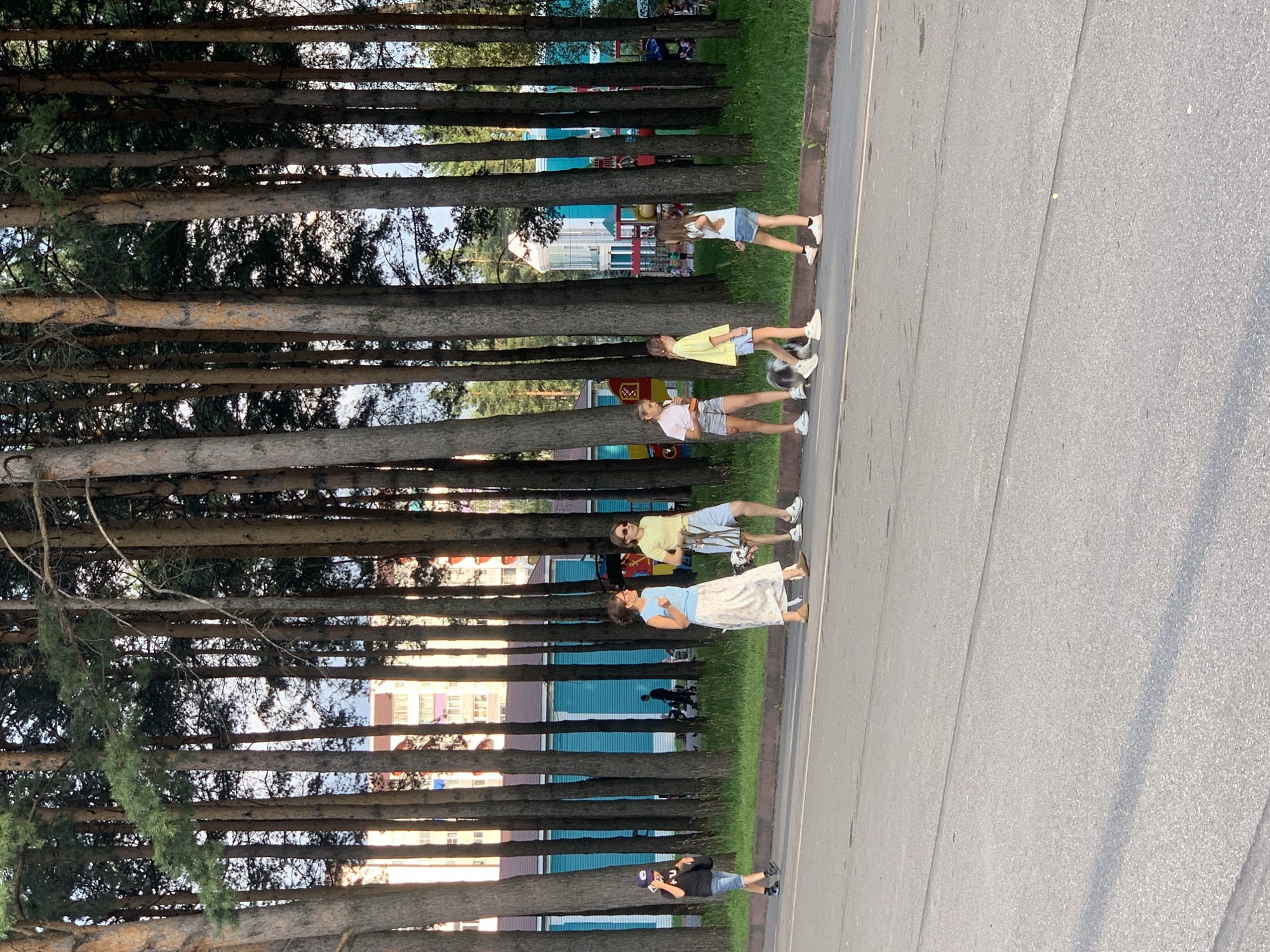 The image captures a street scene with a prominent line of tall pine trees on the left, bordering a paved area and a grassy strip. Behind the trees, several colorful buildings are visible, suggesting a public or residential area. In the foreground, a group of people are walking along the paved surface. From left to right, a young person in a dark t-shirt and shorts is walking away from the camera, holding a phone to their ear. Next, two women are walking side-by-side. The woman on the left wears a light blue top and a long, white patterned skirt, while the woman on the right is in a yellow t-shirt and light blue shorts. Between them, a dalmatian dog is being walked. Further to the right, a young person in a yellow t-shirt and shorts is walking, followed by another young person in a light blue t-shirt and shorts. A further group of young people are visible in the distance, also walking along the paved area. The overall scene appears to be a leisurely outdoor activity in a park-like urban setting. The image is likely taken in Prokopyevsk, Russia, given the context.