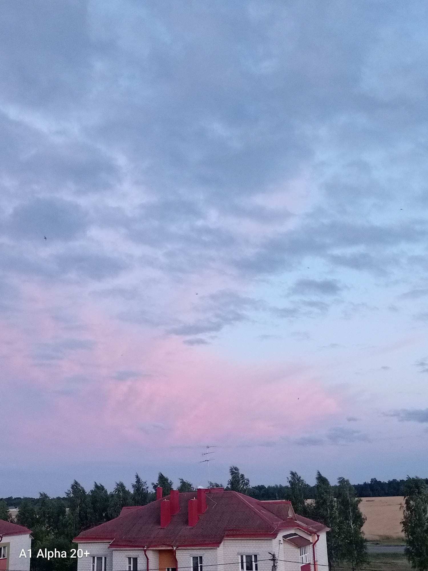 A wide shot shows the sky and the rooftops of houses in the village of Ulukauski Sel'ski Sovet, Belarus. The sky is a dramatic mix of blues and pinks, with scattered clouds. The pinkish hue suggests it is either dawn or dusk. In the foreground, red-tiled roofs of houses are visible, with white brick walls and visible windows. Trees line the horizon, with a hint of a field in the distance. The overall scene is tranquil, with no people or animals in view, except for a few small dark specks that could be birds in the sky. The lighting is soft, indicating natural light.