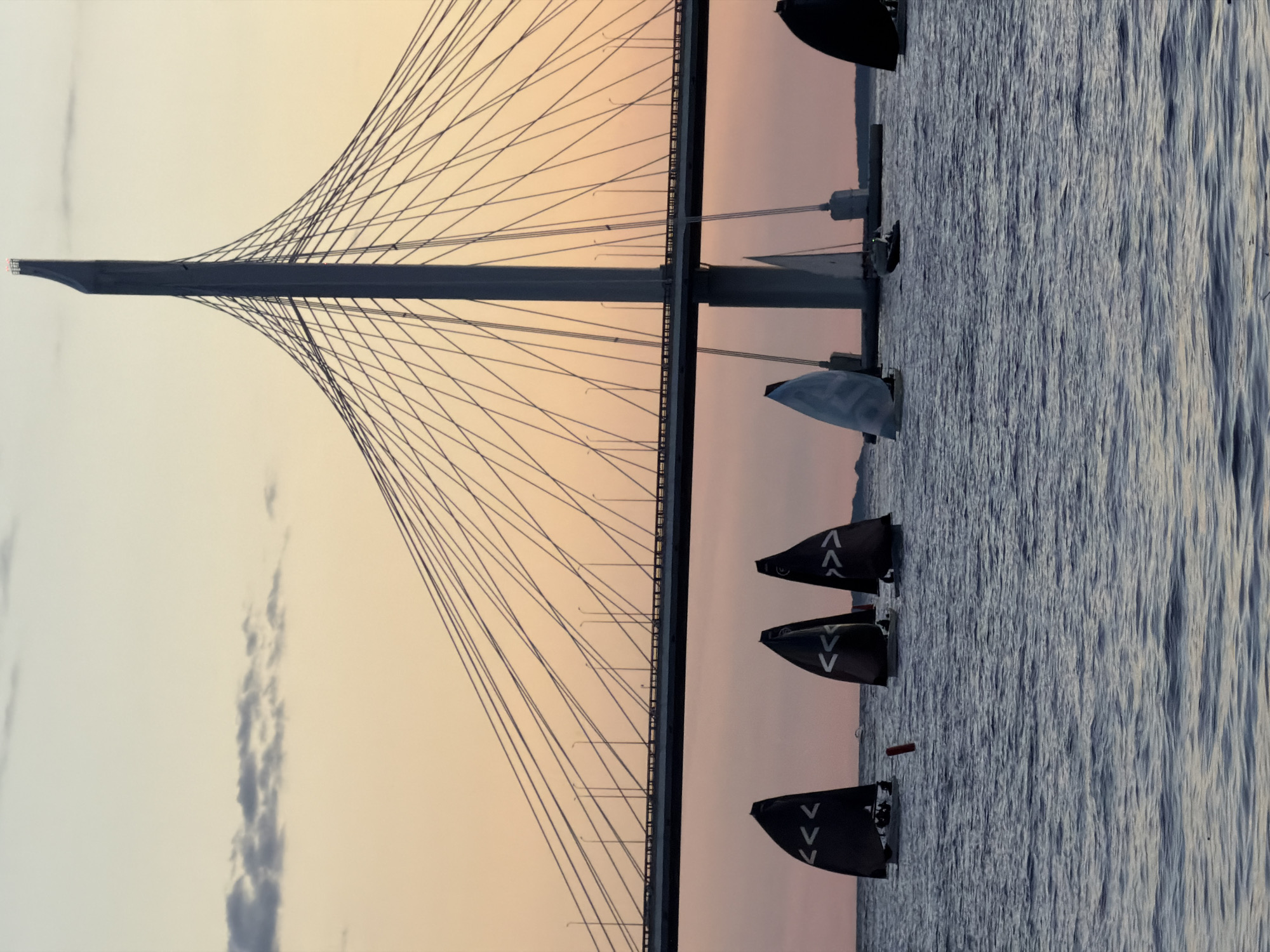 The image depicts a fleet of small sailboats on the water with a large cable-stayed bridge in the background. The sky is a soft orange and pink, suggesting either sunrise or sunset. The bridge, likely the Western High-Speed Diameter in Saint Petersburg, Russia, features a prominent pylon and numerous cables spanning across the waterway. Several sailboats with dark sails, some displaying white chevron-like markings, are positioned in the foreground and middle ground, with people visible in some of them. The water is rippling, indicating a gentle breeze. A red buoy is also visible in the water between two of the sailboats. The overall scene captures a moment of sailing activity under a picturesque sky with a significant piece of urban infrastructure as the backdrop.