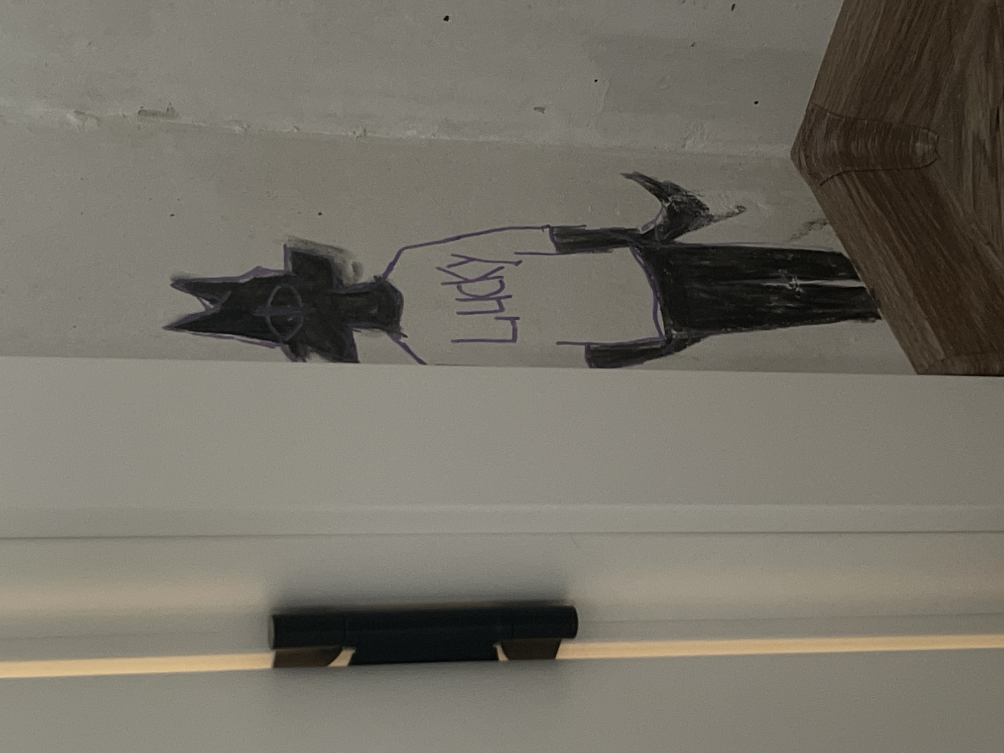 A crude drawing of a figure resembling a cat or dog with pointed ears and a tail stands on a wall. The figure is black with a white shirt that has the word "LUCKY" written in purple. The drawing is incomplete and appears to be done with marker or crayon. The figure is positioned in the corner of a room, next to a door hinge. A wooden object, possibly furniture, is visible in the foreground. The wall is textured and shows signs of wear. The lighting suggests an indoor setting. The location is unknown.